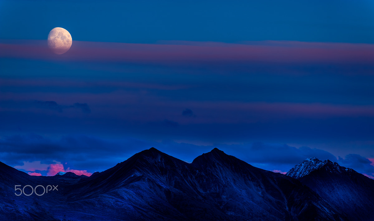 Nikon D700 sample photo. Desolate equilibrium photography