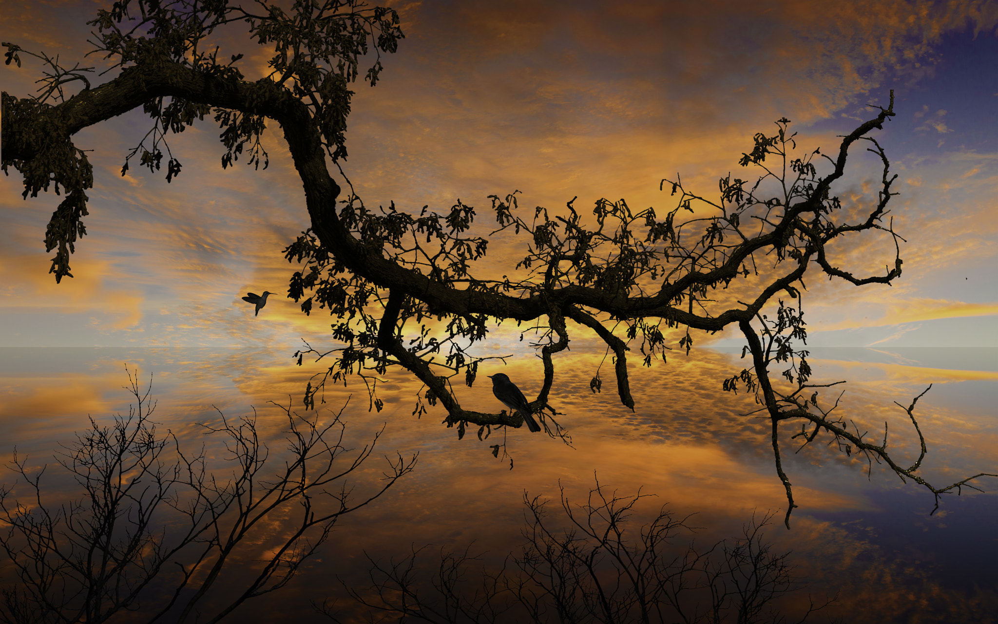 Nikon AF-S Nikkor 28mm F1.8G sample photo. Forest sunset photography