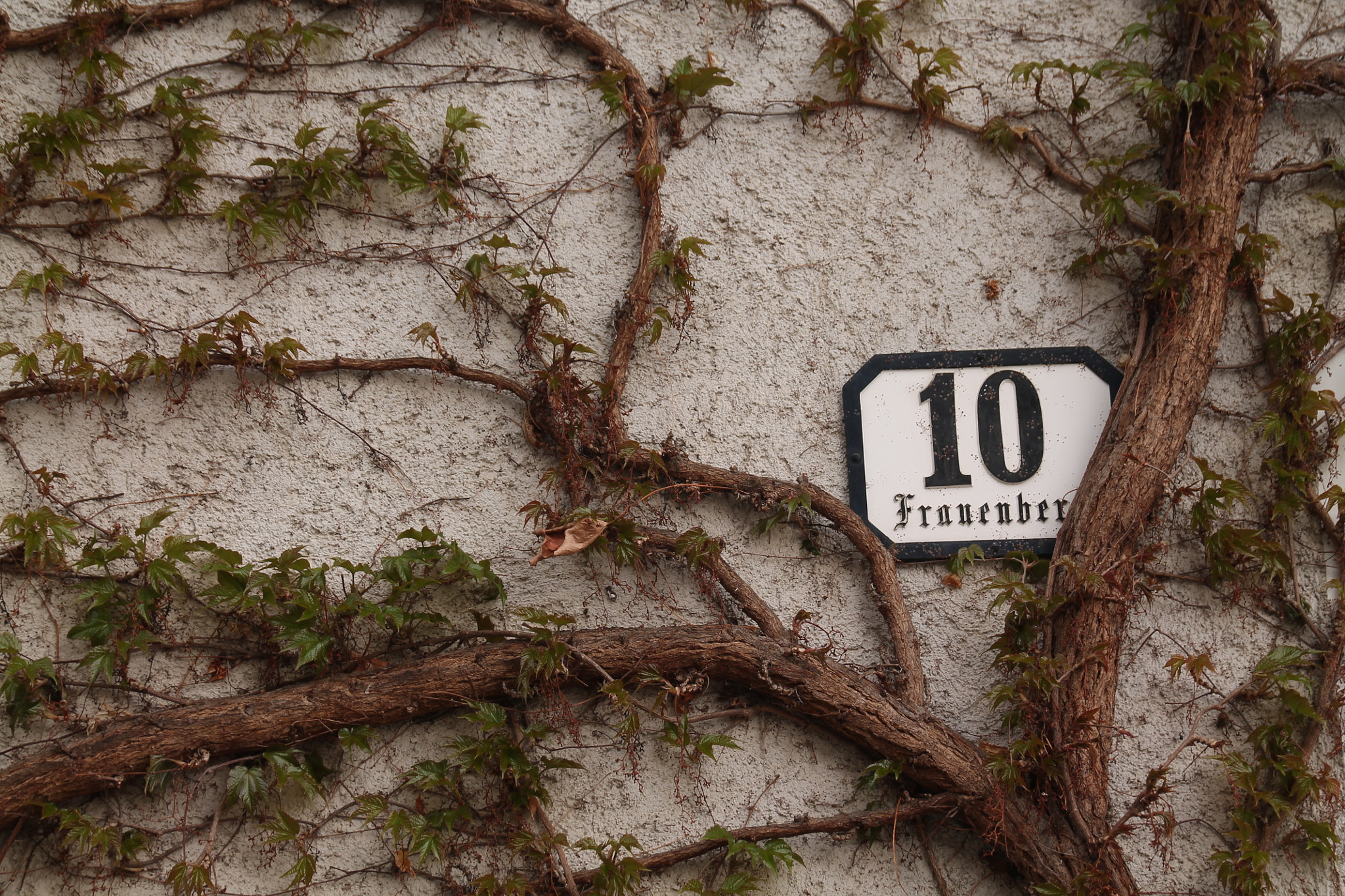 Sigma 18-250mm F3.5-6.3 DC OS HSM sample photo