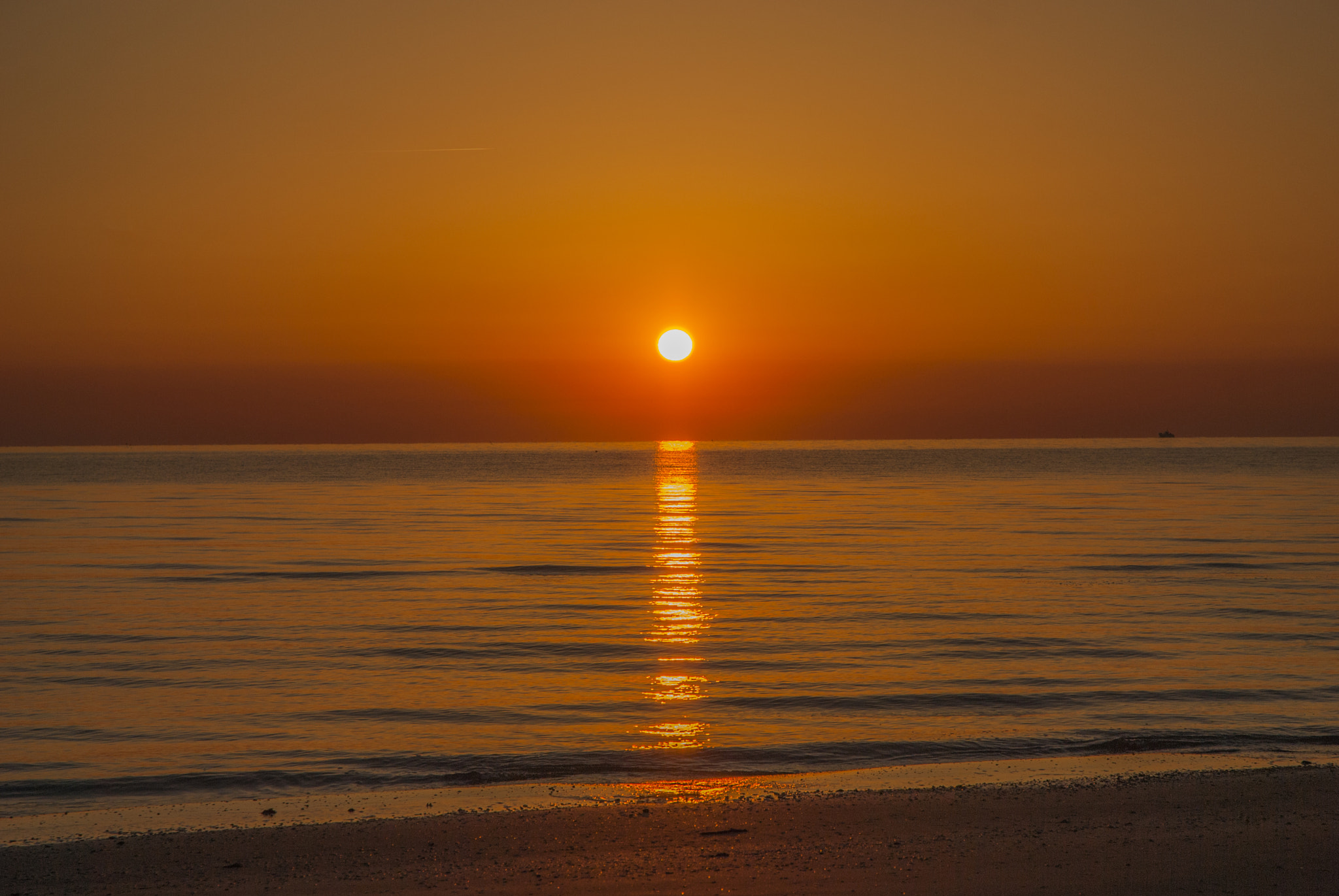 Nikon D80 sample photo. Red dawn  photography