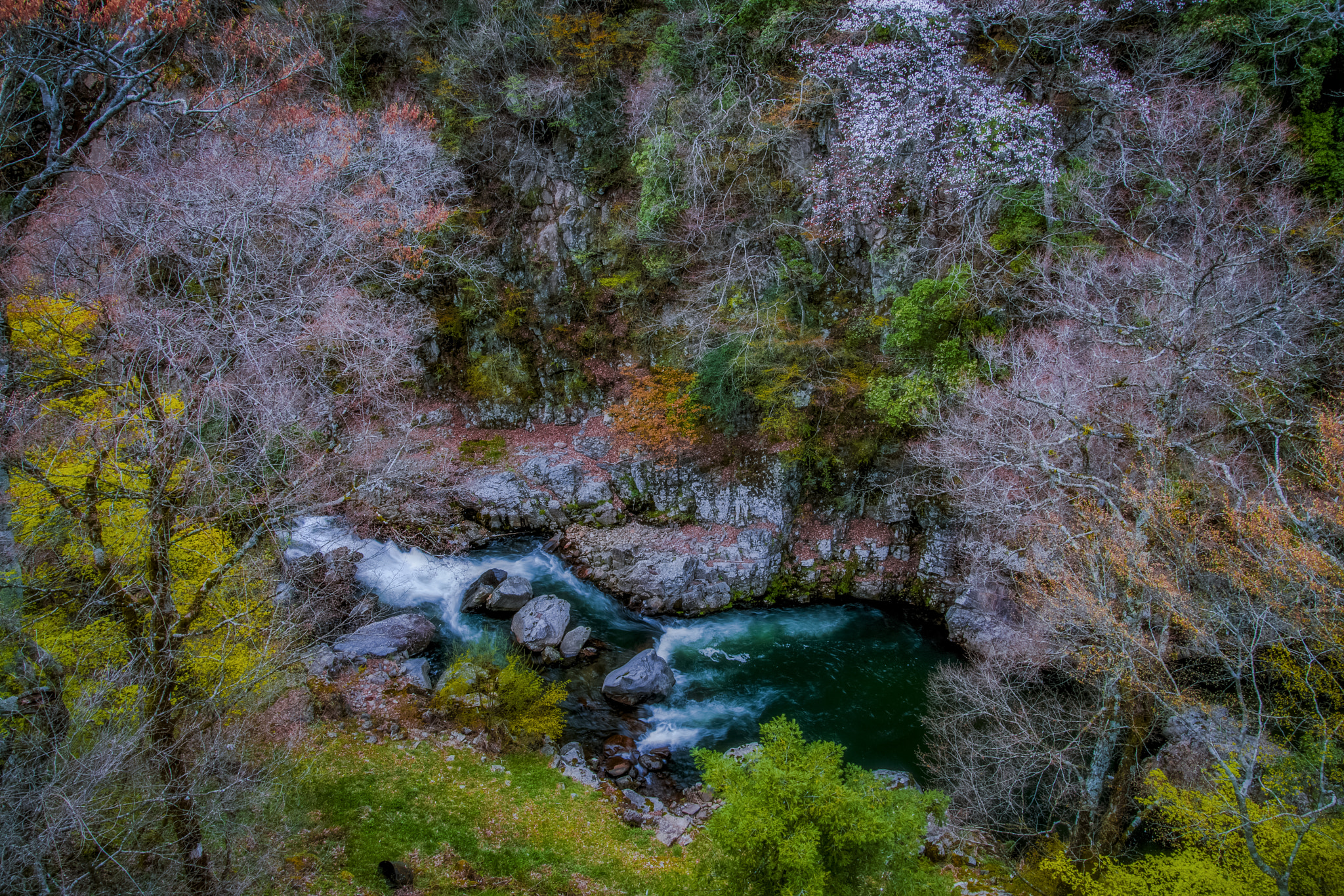 Nikon D5 sample photo. Valley photography