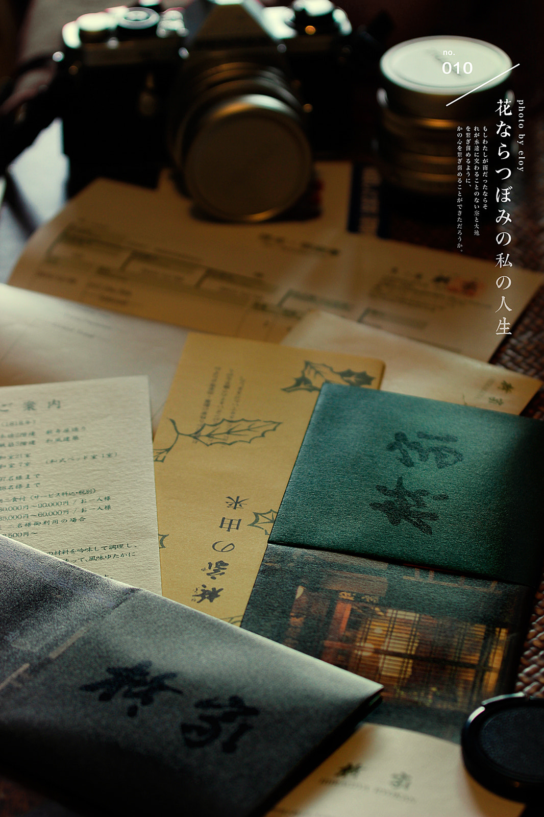 Canon EOS 600D (Rebel EOS T3i / EOS Kiss X5) + Canon EF 70-200mm F4L IS USM sample photo. Hiragi photography