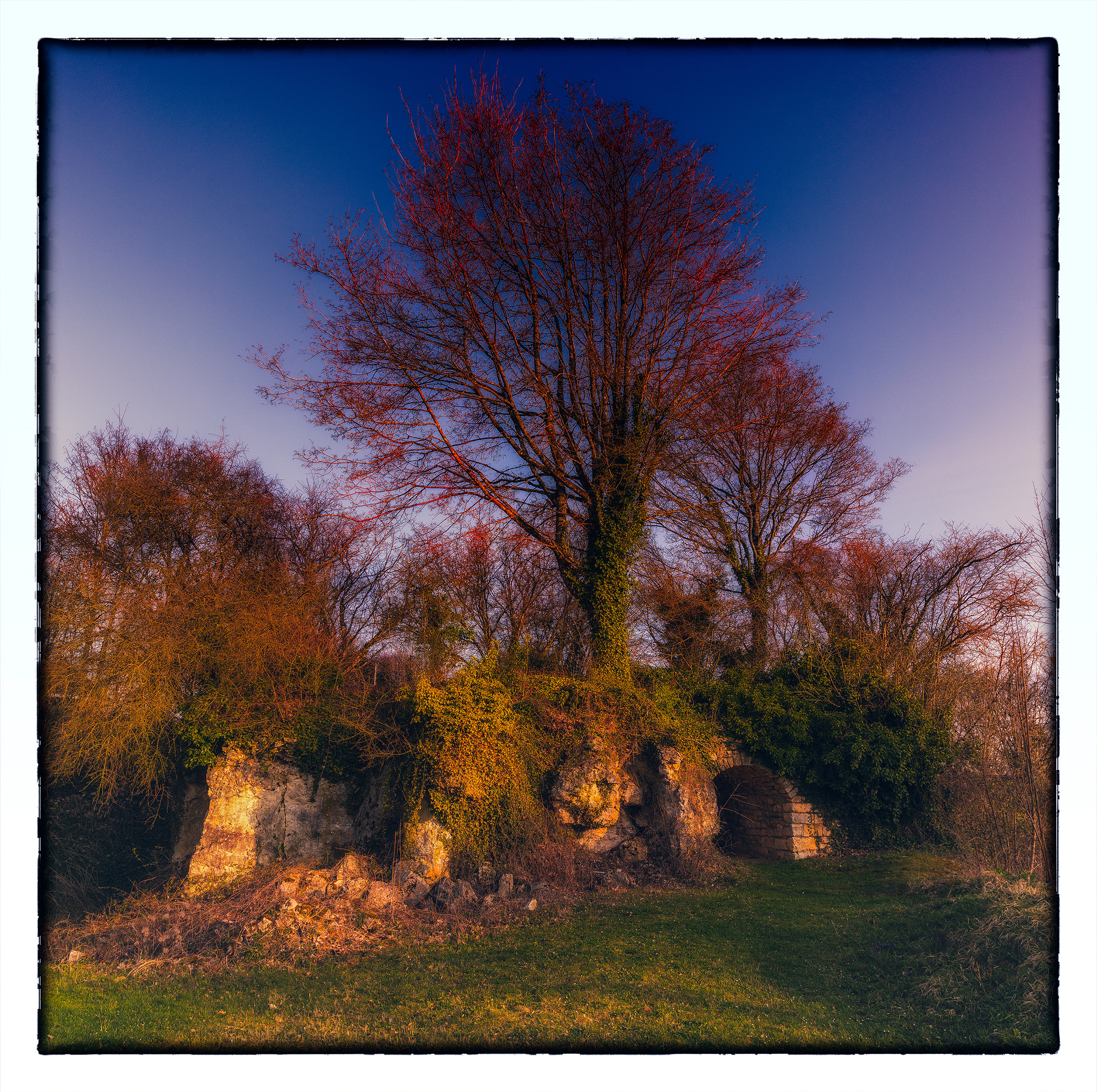 Canon EOS 5DS R + Canon EF 16-35mm F2.8L II USM sample photo. Les derniers vestiges du château le mont aimé photography