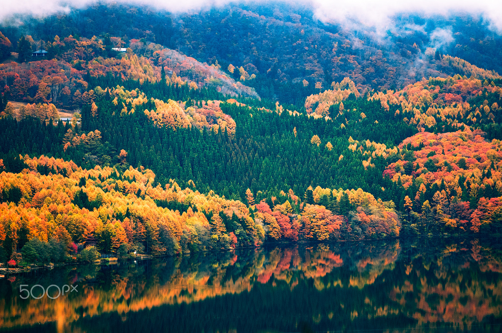 Sigma 70-300mm F4-5.6 APO DG Macro sample photo. Colorful canvas 　秋を描く photography
