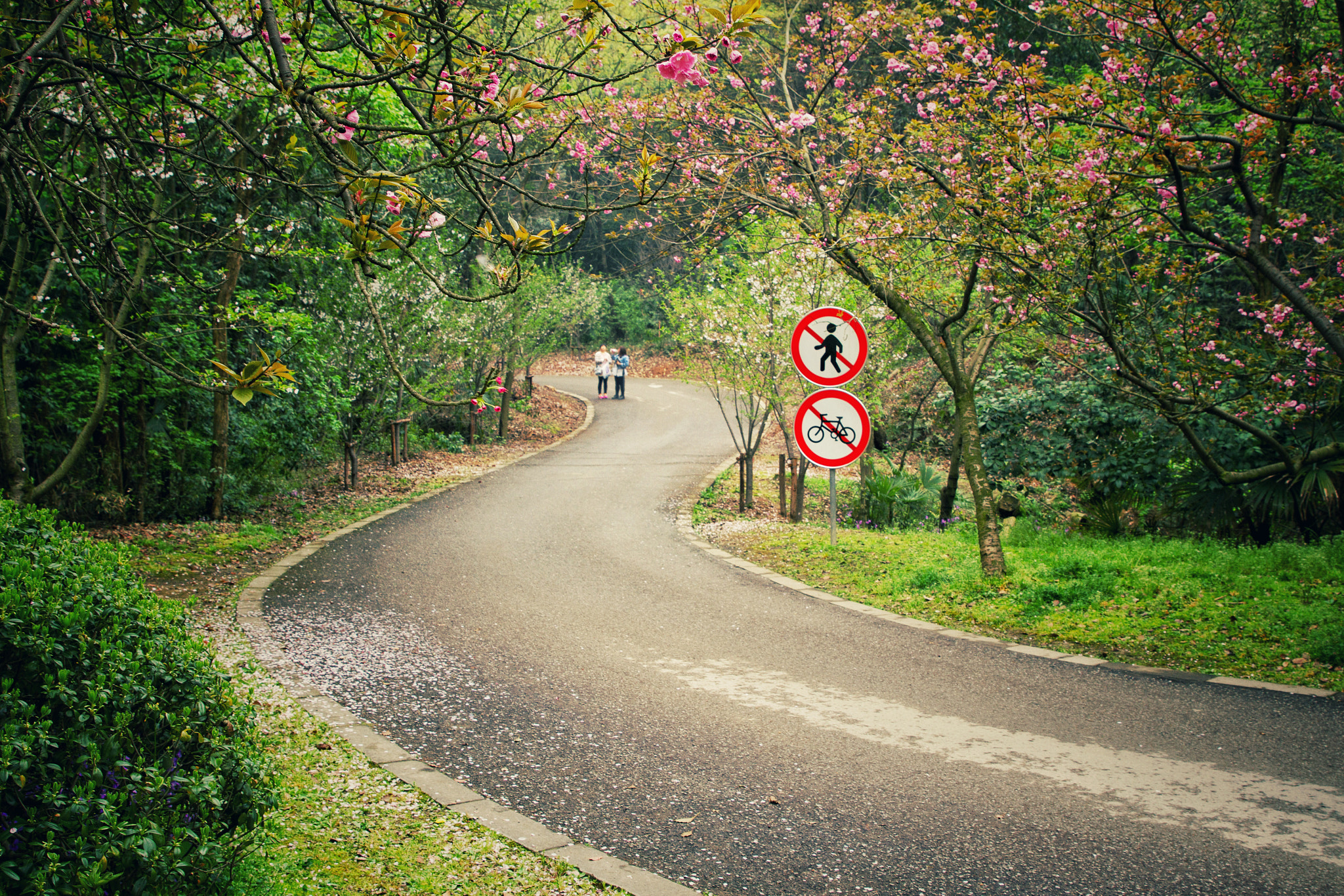 Canon EF 24-70mm F2.8L II USM sample photo. 路 photography