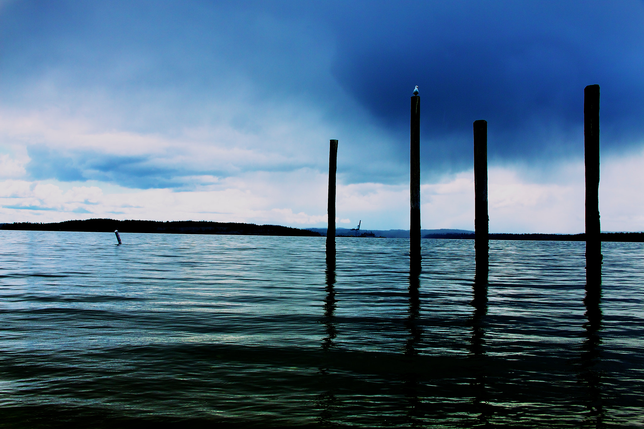 Canon EF-S 18-135mm F3.5-5.6 IS sample photo. I love washington state. always has natural beauty around every corner photography
