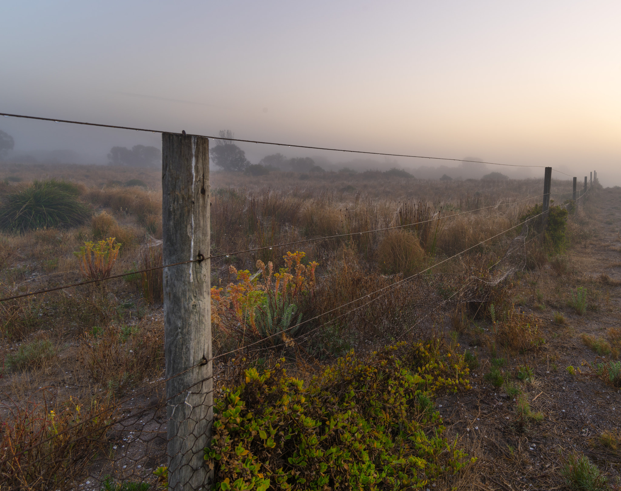 Pentax 645Z sample photo. Behind the wire photography