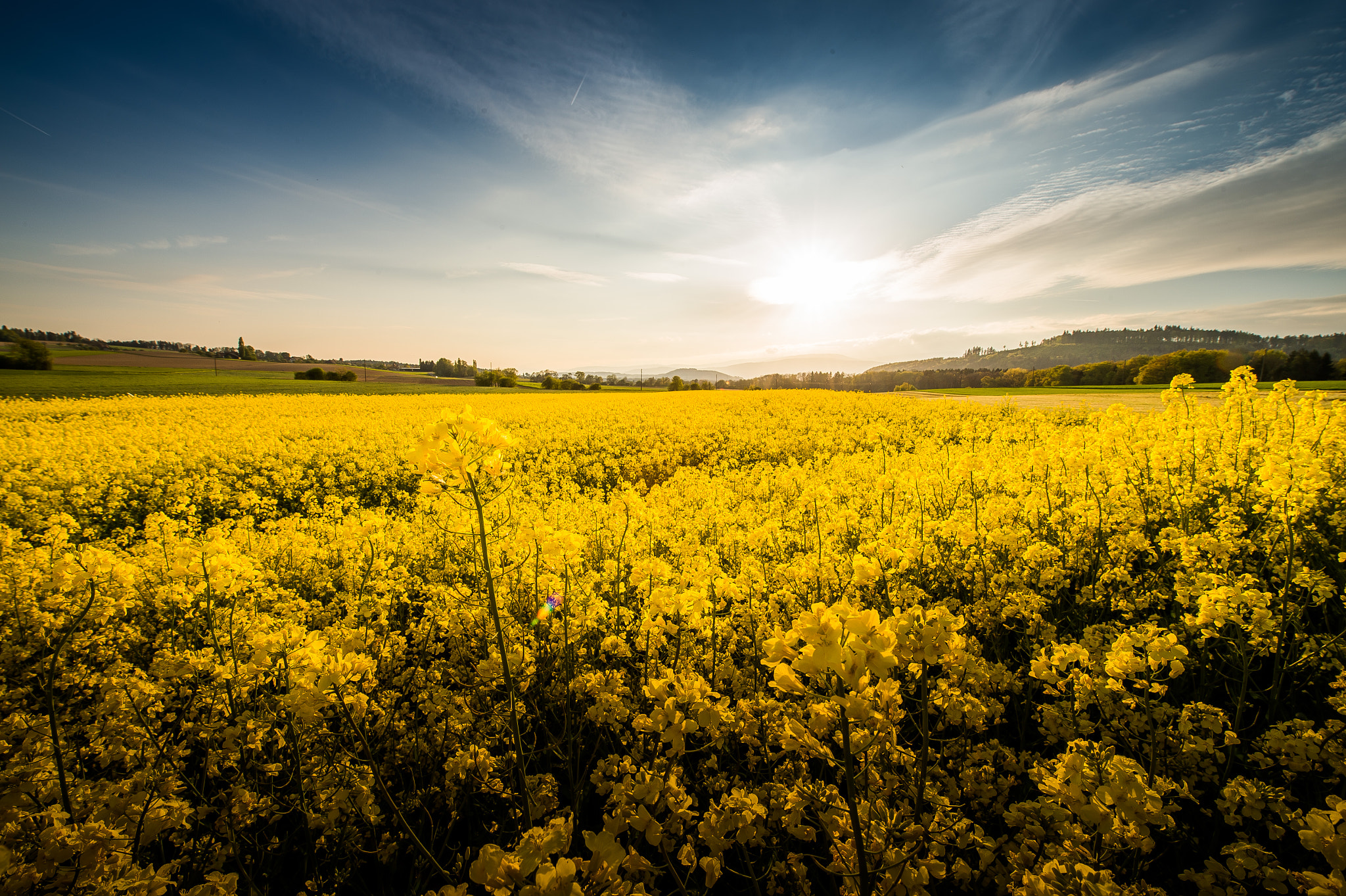 Nikon AF-S Nikkor 14-24mm F2.8G ED sample photo. ***** photography