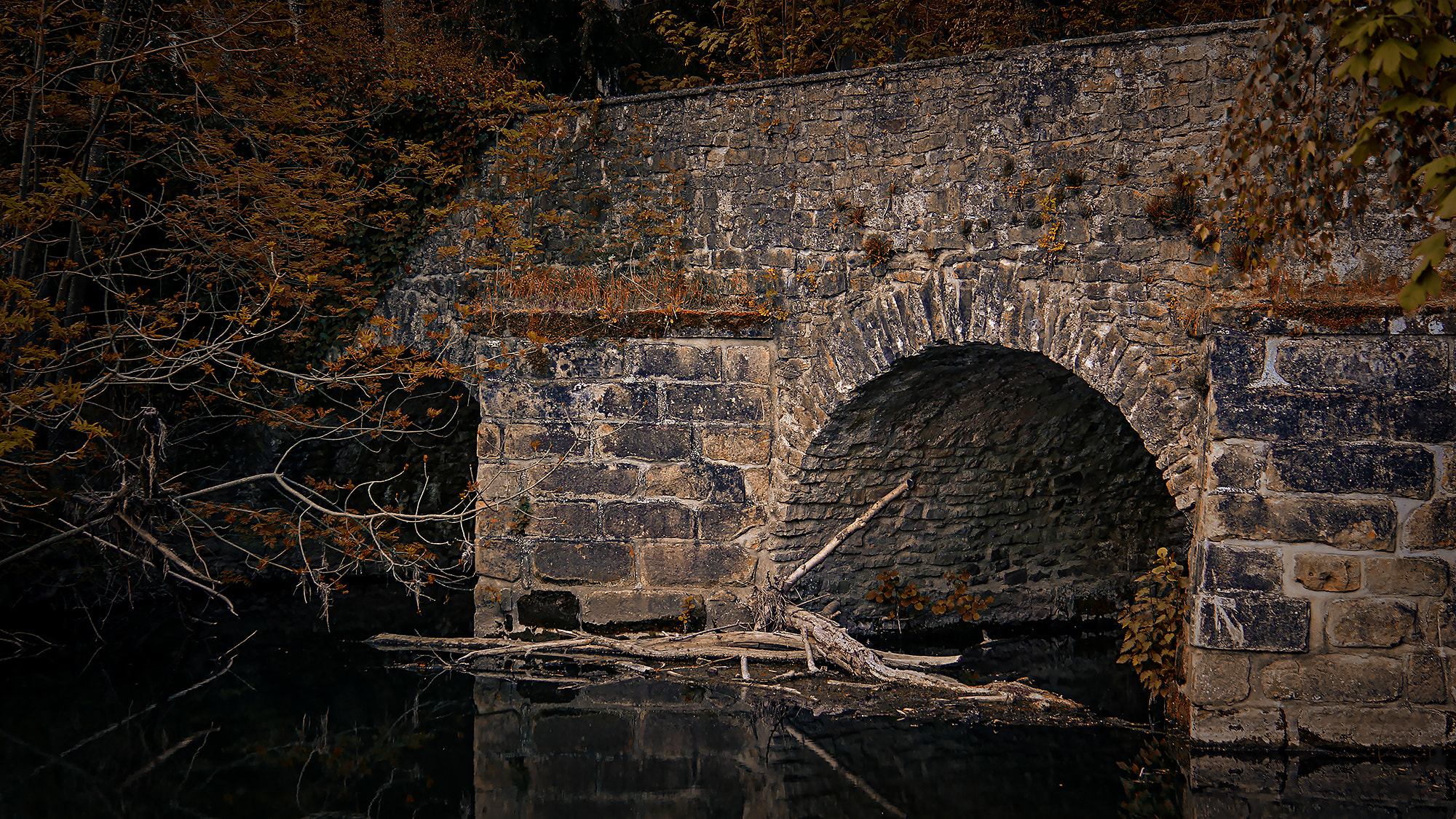 Canon EF-S 17-85mm F4-5.6 IS USM sample photo. Bridge photography