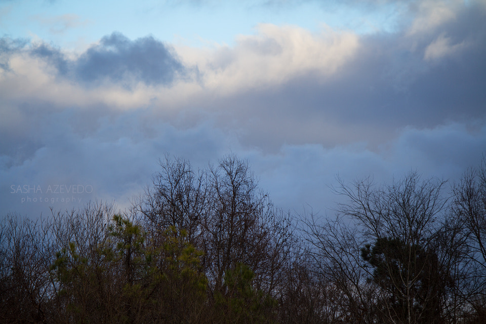 Canon EF-S 55-250mm F4-5.6 IS II sample photo. Overcast skies photography