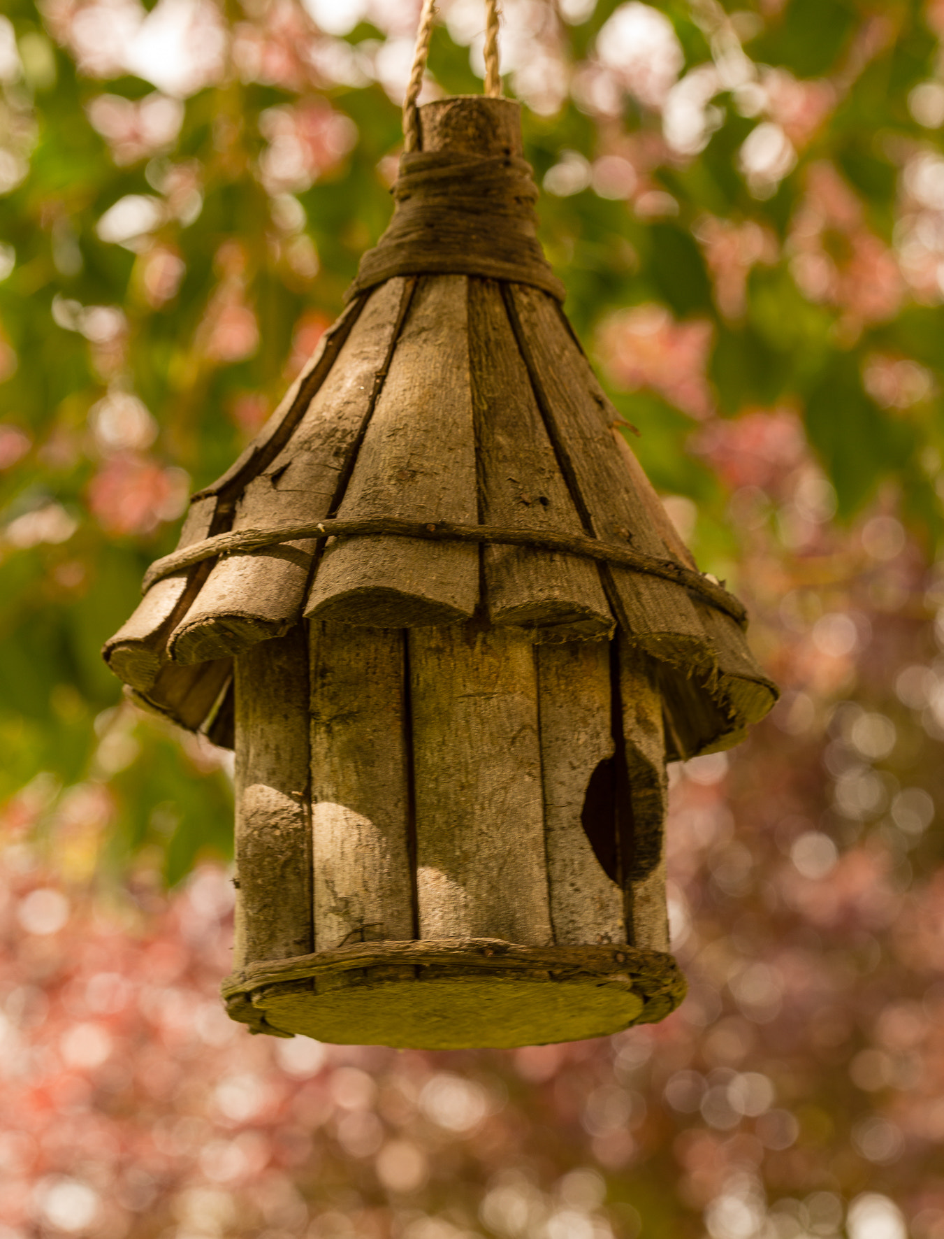 Canon EF 100mm F2.8L Macro IS USM sample photo. Casa de pajaros photography