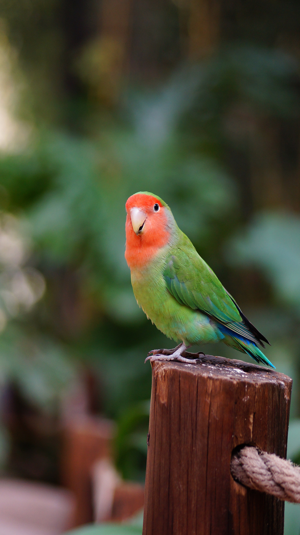 Sony DT 55-200mm F4-5.6 SAM sample photo. Image photography