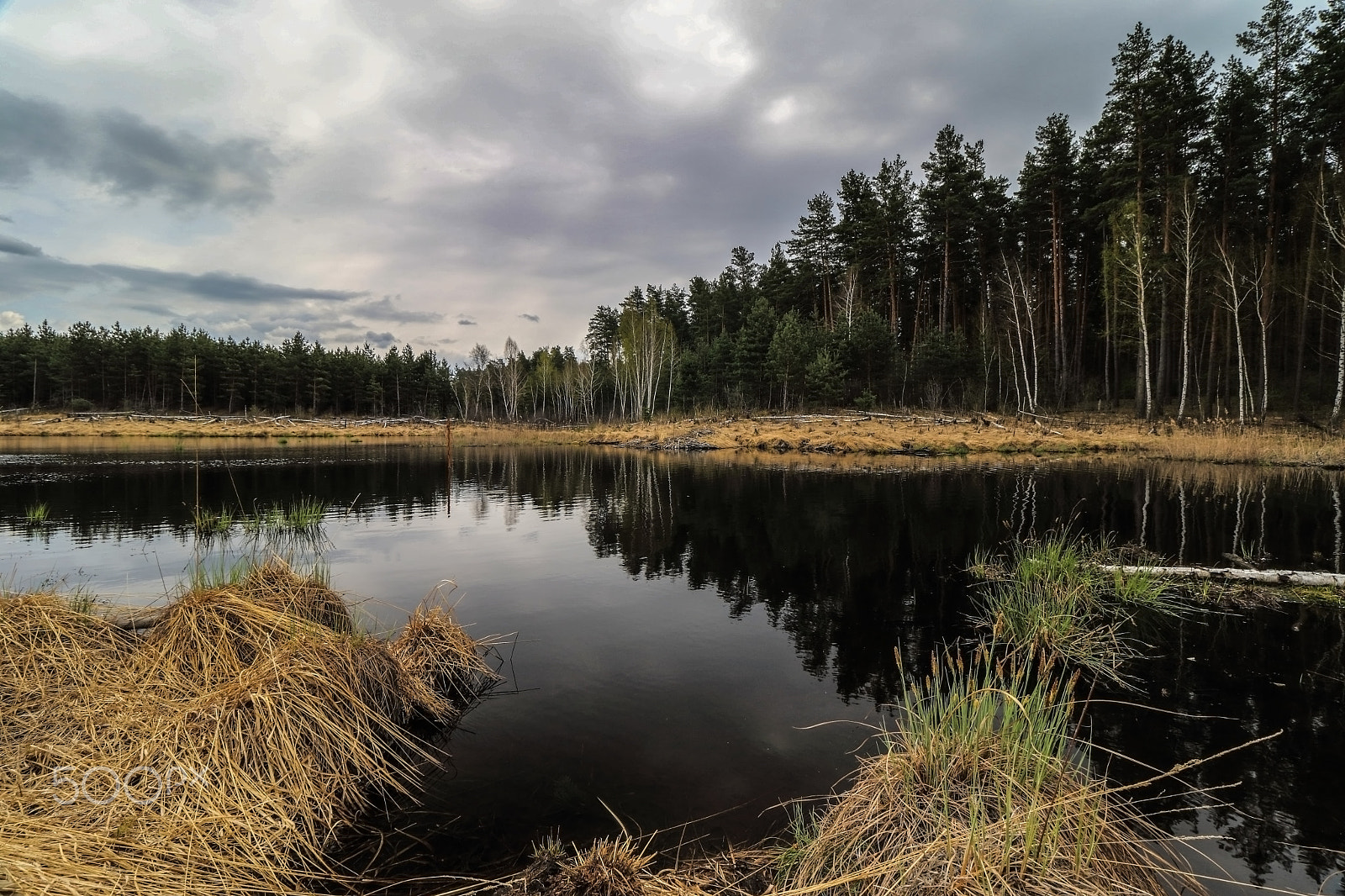 Canon EOS 7D Mark II + Canon EF-S 10-18mm F4.5–5.6 IS STM sample photo. Swamp* photography
