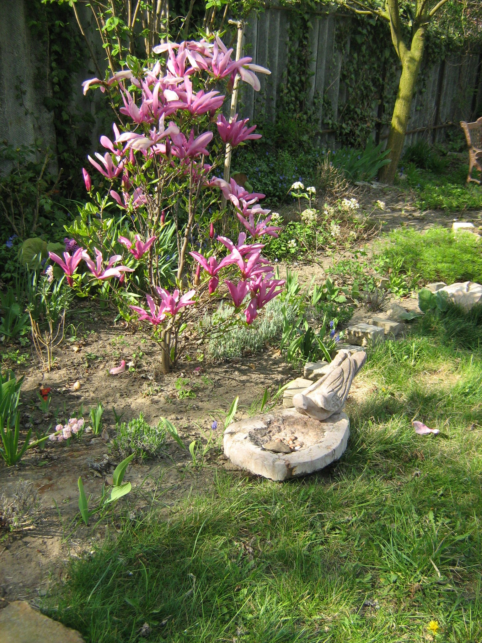 Canon POWERSHOT A460 sample photo