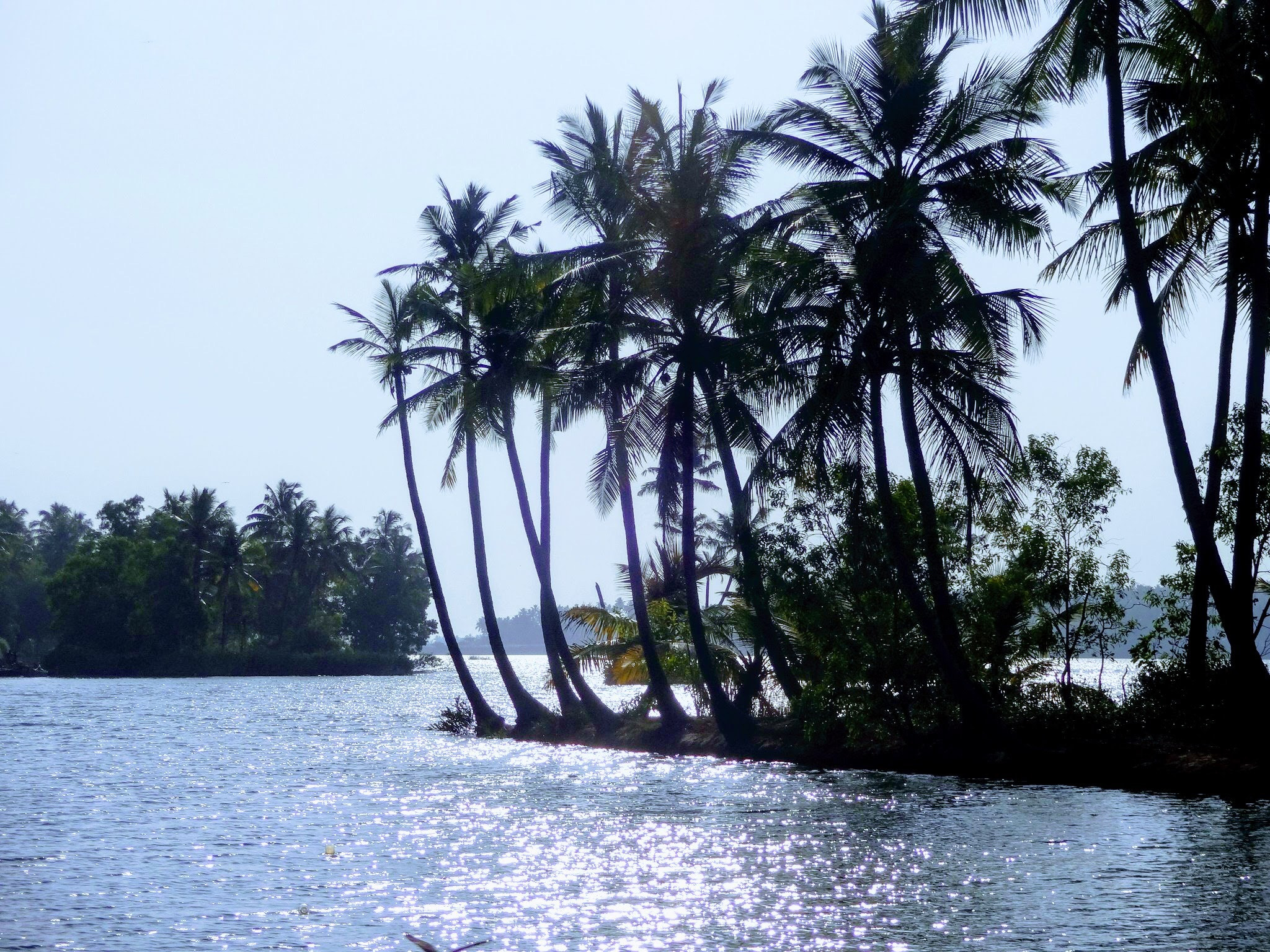 Sony DSC-WX150 sample photo. Back water kerela most scenic place on this earth in india photography