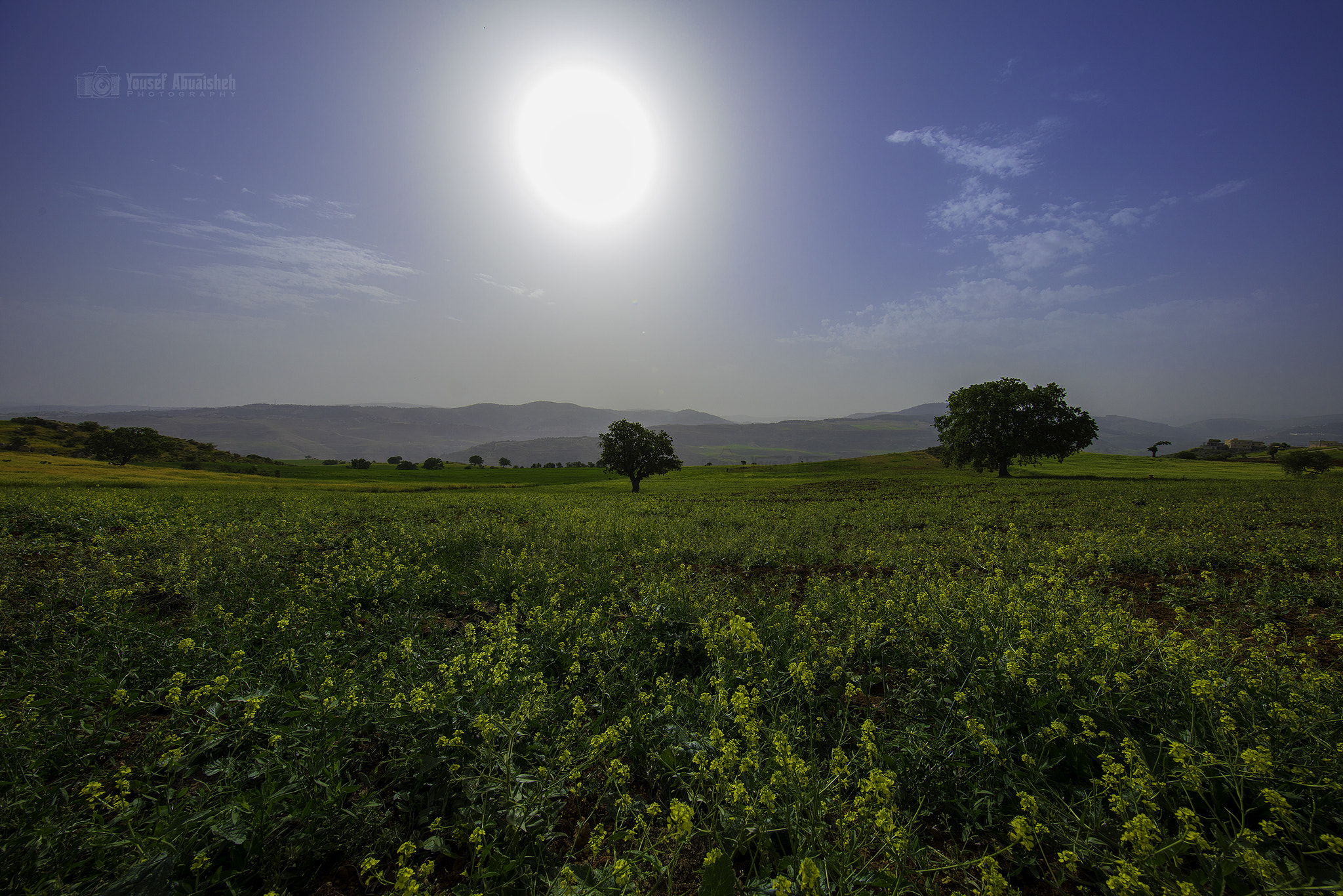 Canon EF 11-24mm F4L USM sample photo. Landscape, spring and sun! photography