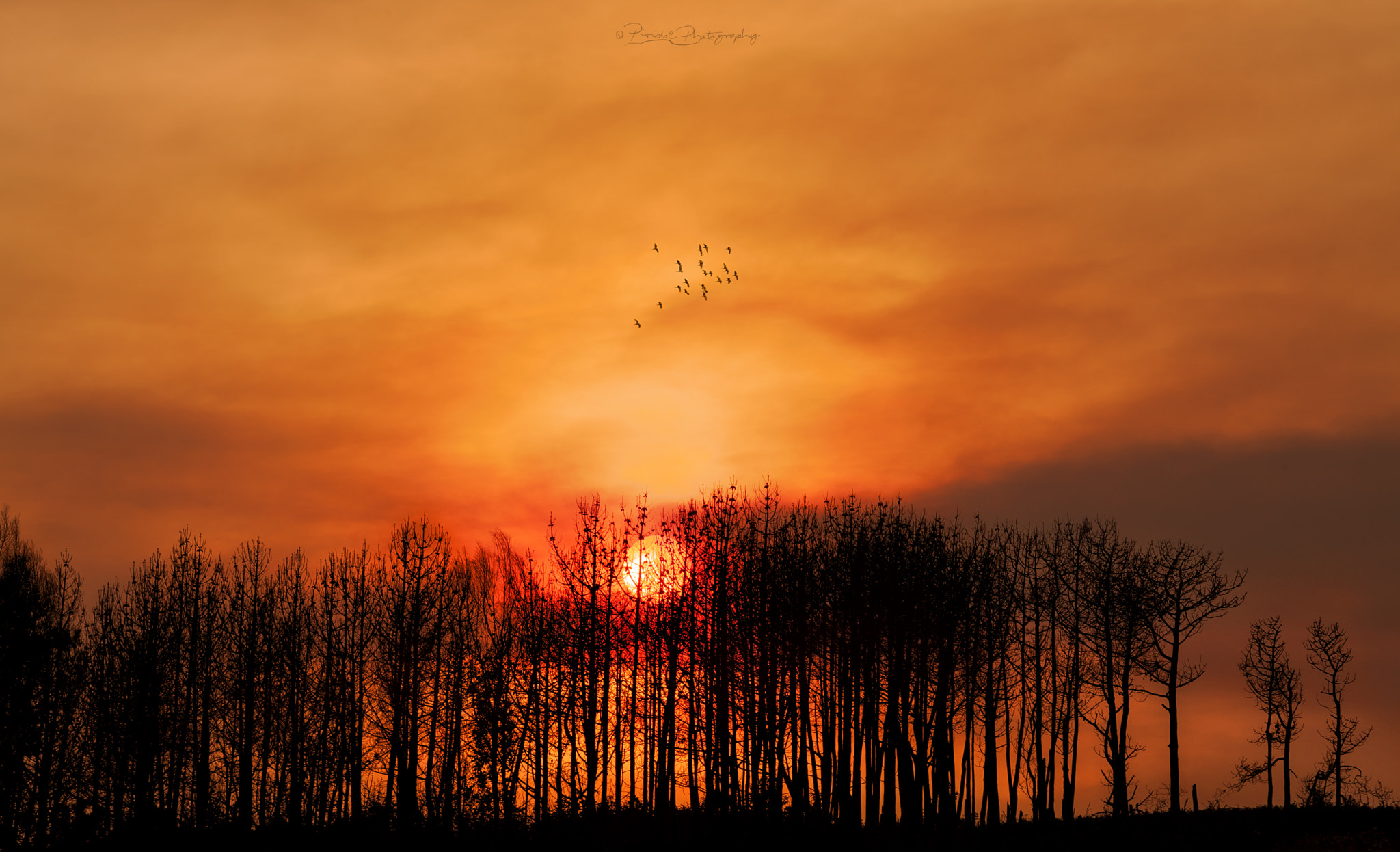 Canon EF 70-200mm F4L USM sample photo. Sunset over pormenande beach... photography