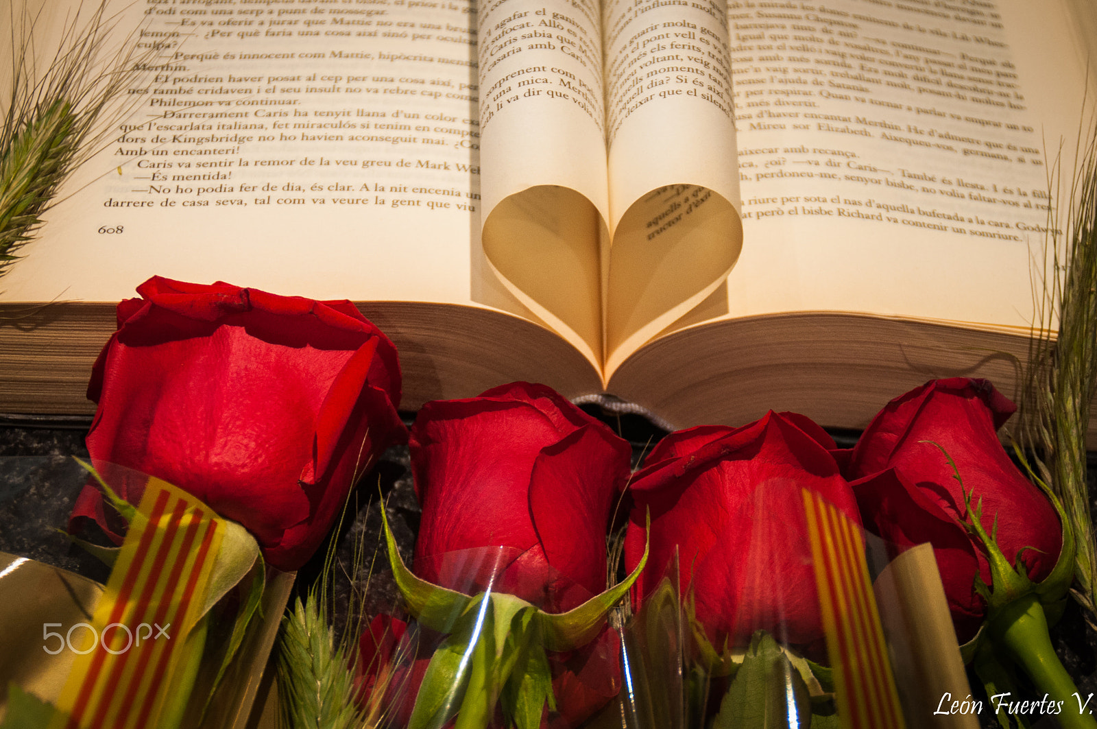 Nikon D5000 + Tamron AF 18-200mm F3.5-6.3 XR Di II LD Aspherical (IF) Macro sample photo. Books (culture), and roses (love), rosas y libros photography