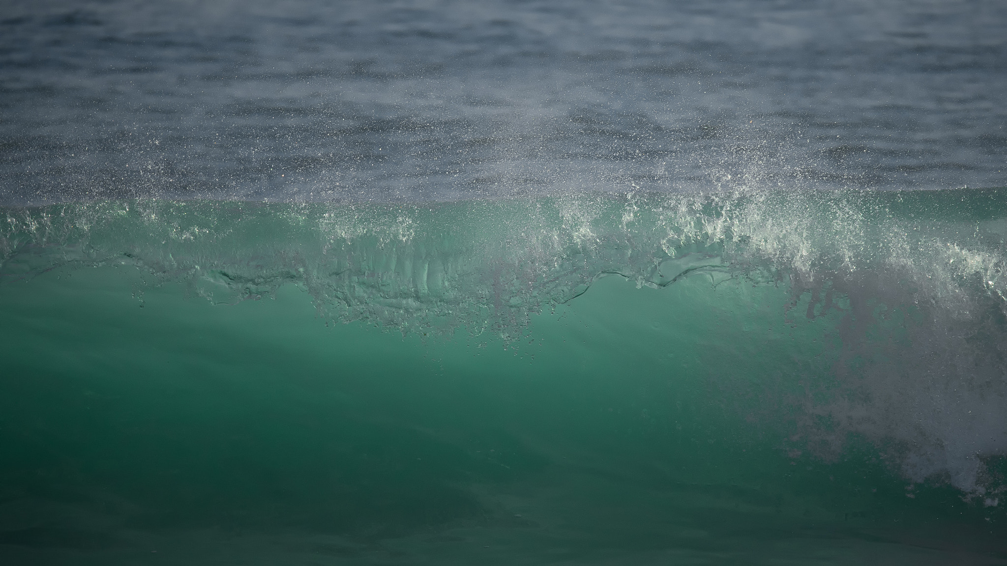 Nikon D4S sample photo. Welle photography