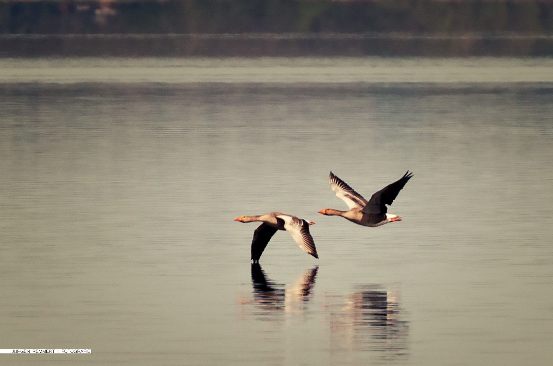 Nikon D300S + Tamron SP 70-300mm F4-5.6 Di VC USD sample photo. ... formation ... photography