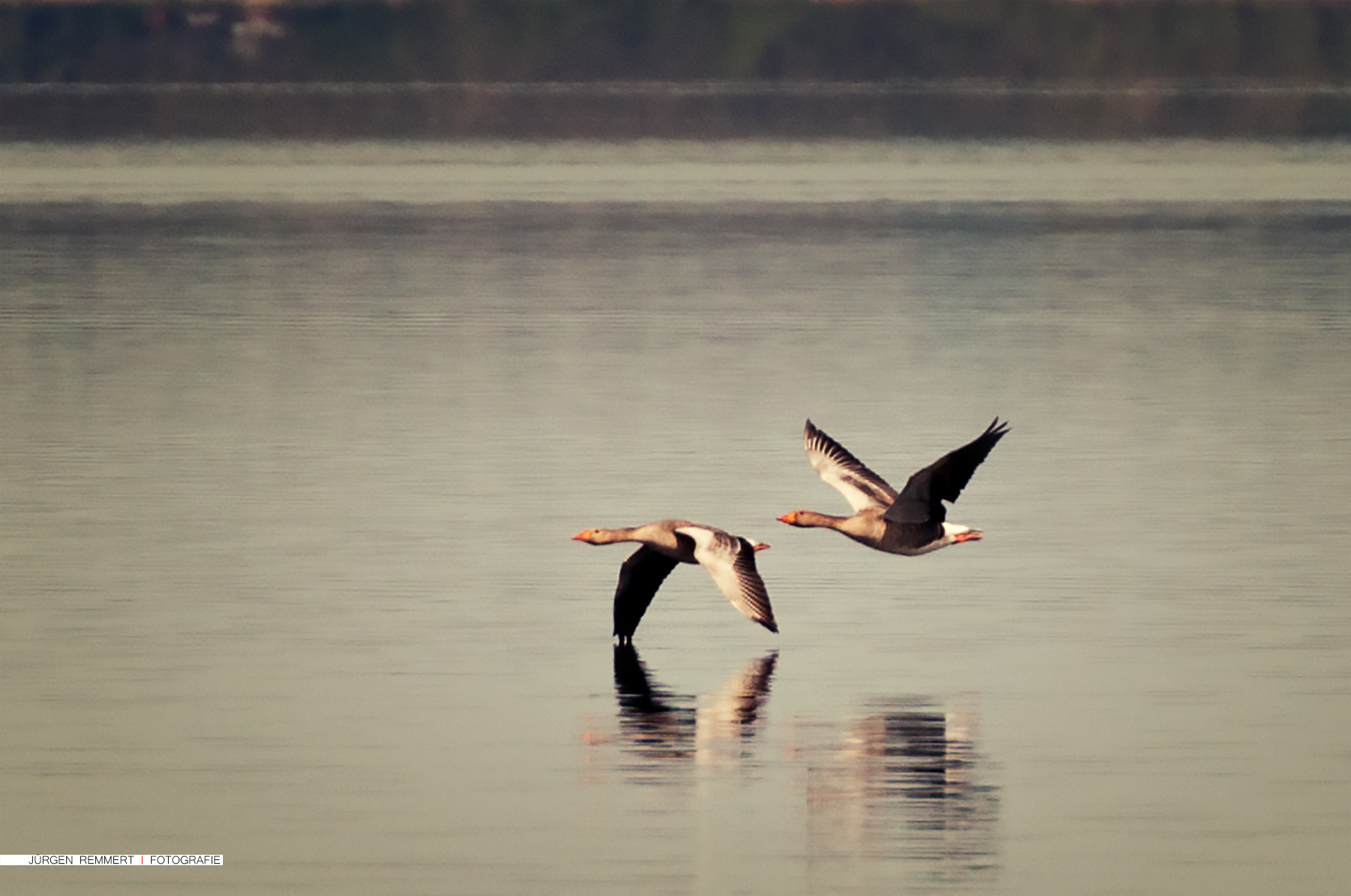 Nikon D300S sample photo. ... formation ... photography