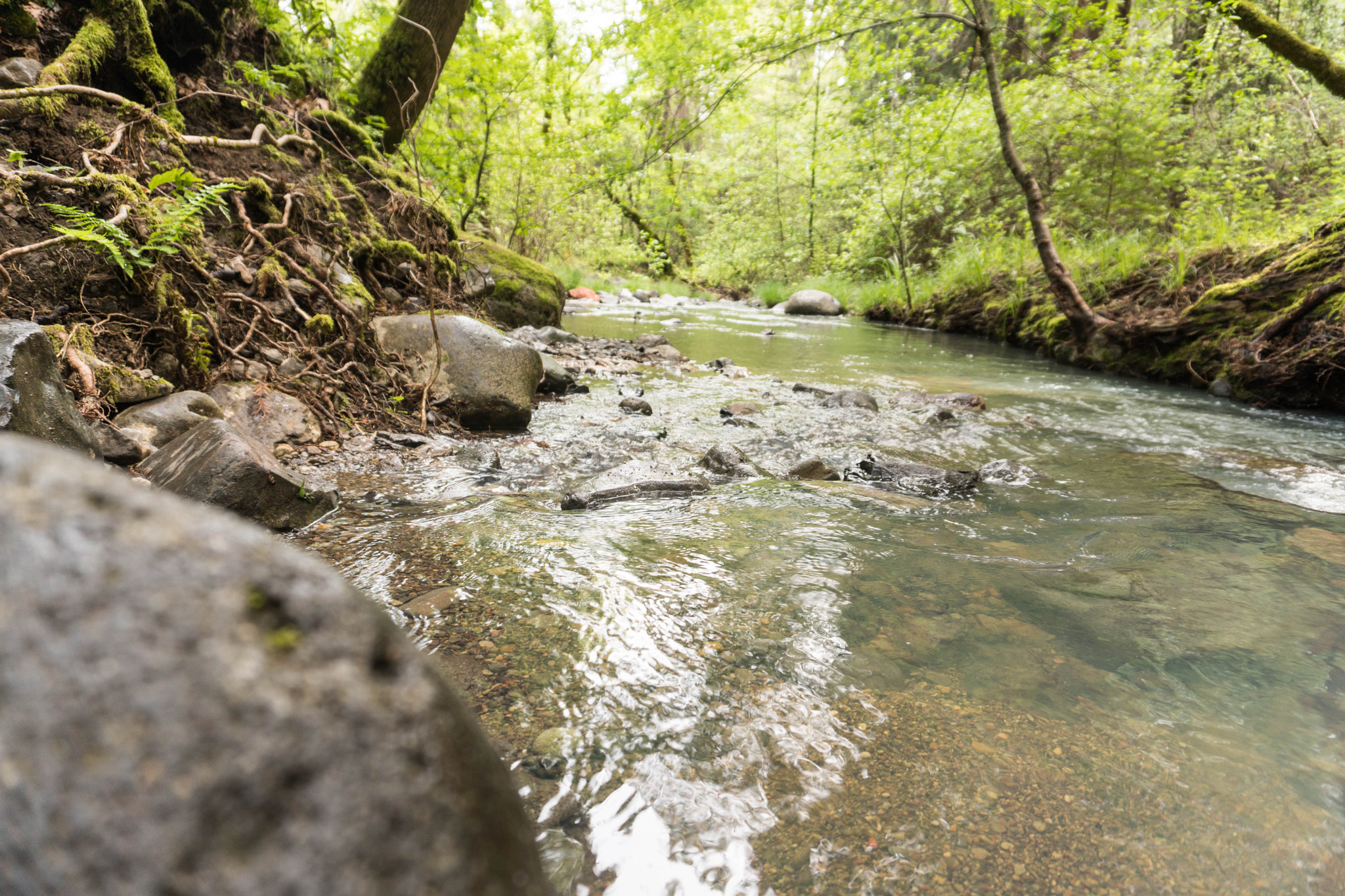 Sony a6500 sample photo. Stream photography