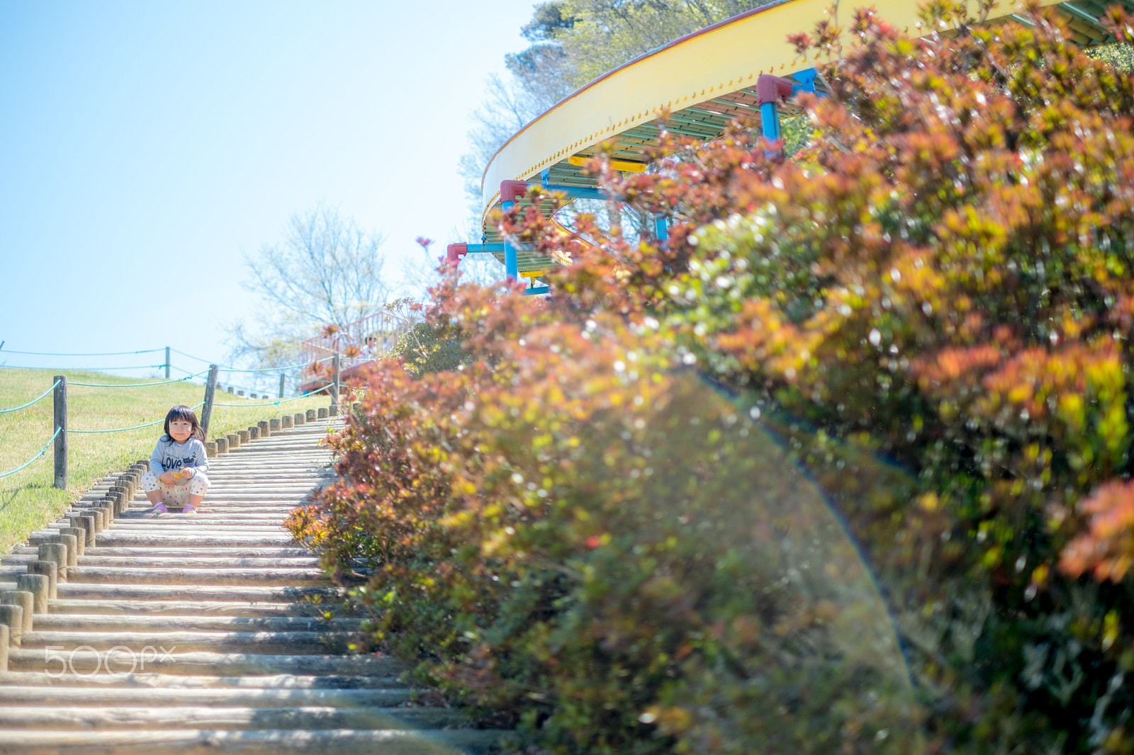 Fujifilm X-T2 + Fujifilm XF 35mm F1.4 R sample photo. Park photography