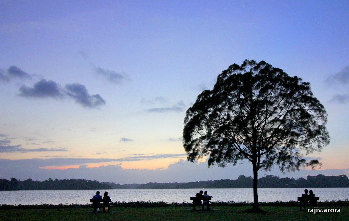 Canon EOS 60D sample photo. Dusk photography