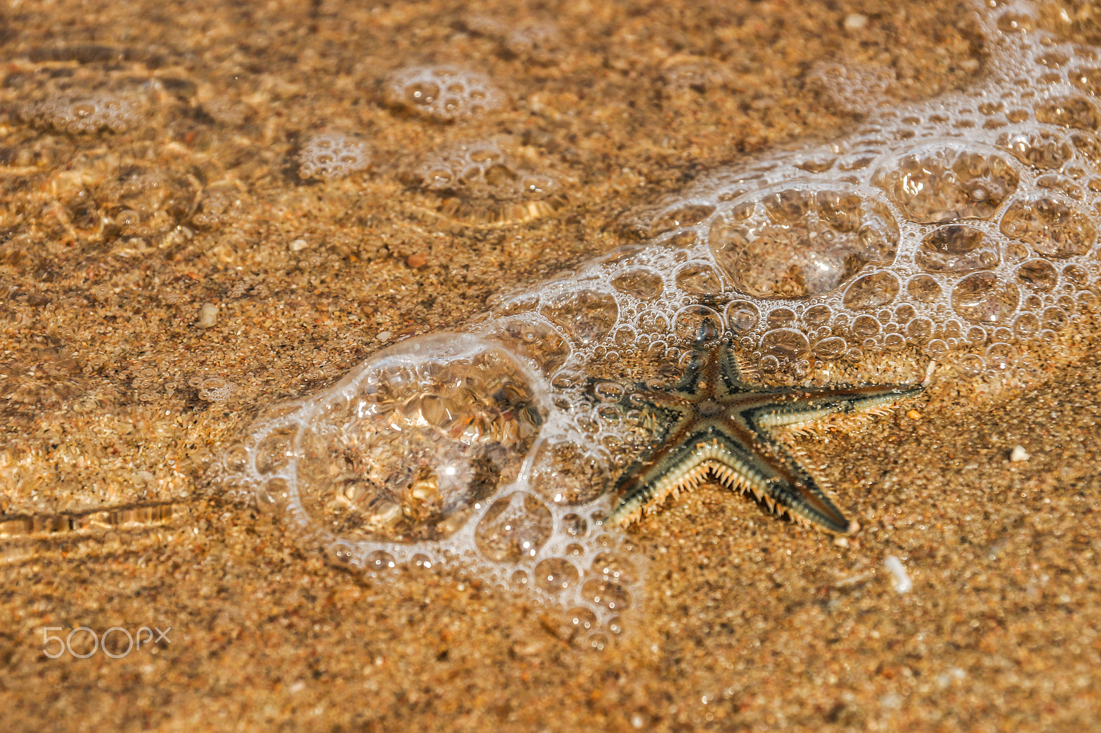 Sony SLT-A65 (SLT-A65V) sample photo. Sea tide photography