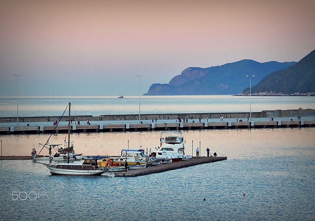 Nikon D5000 sample photo. ** photography