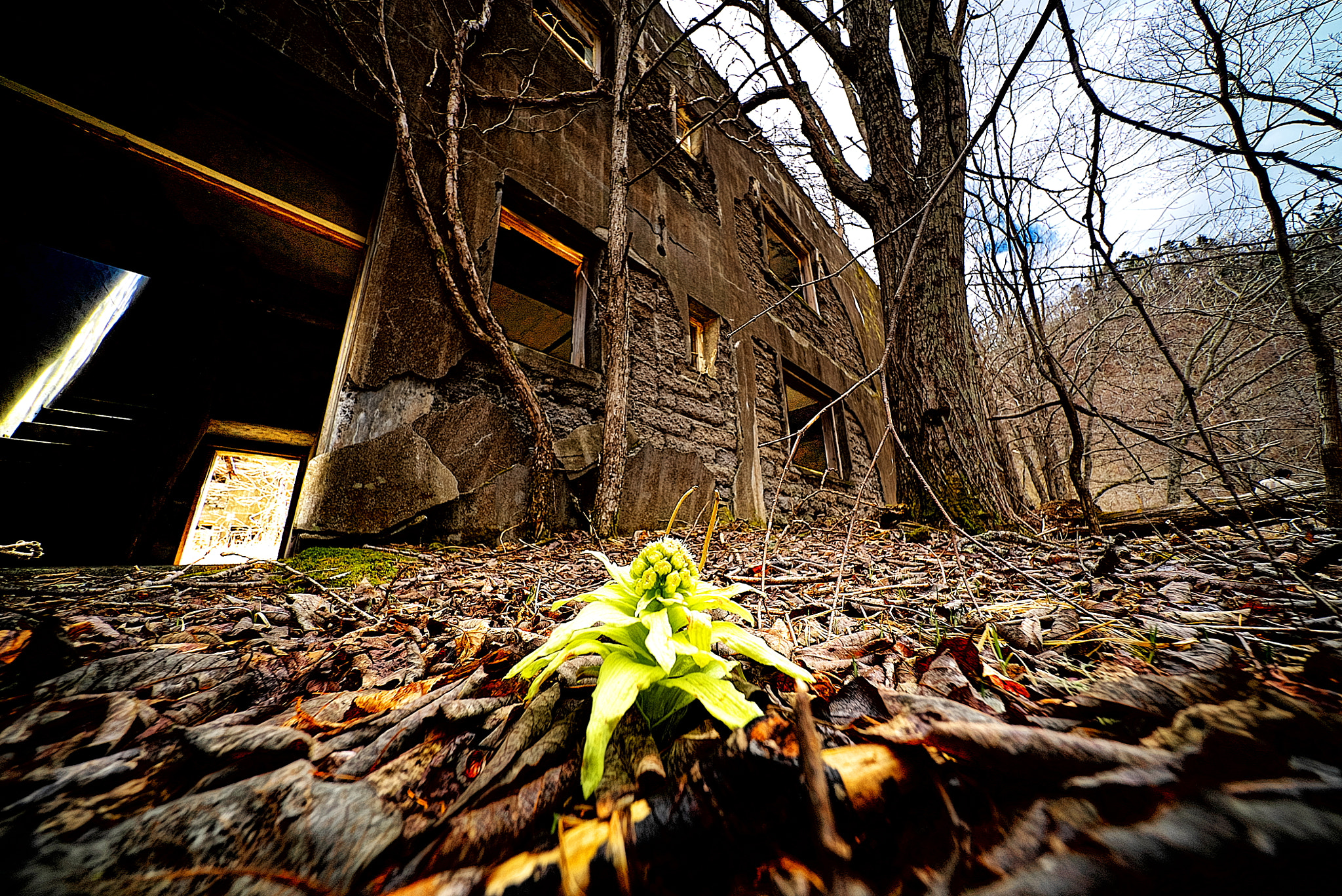 E 10mm F5.6 sample photo. Abandoned photography