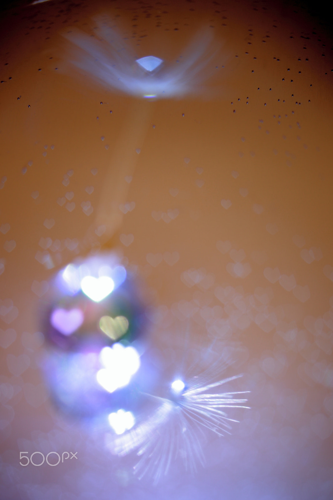 Canon EF 100mm F2.8 Macro USM sample photo. Fluff　オタ芸的、、、綿芸 photography