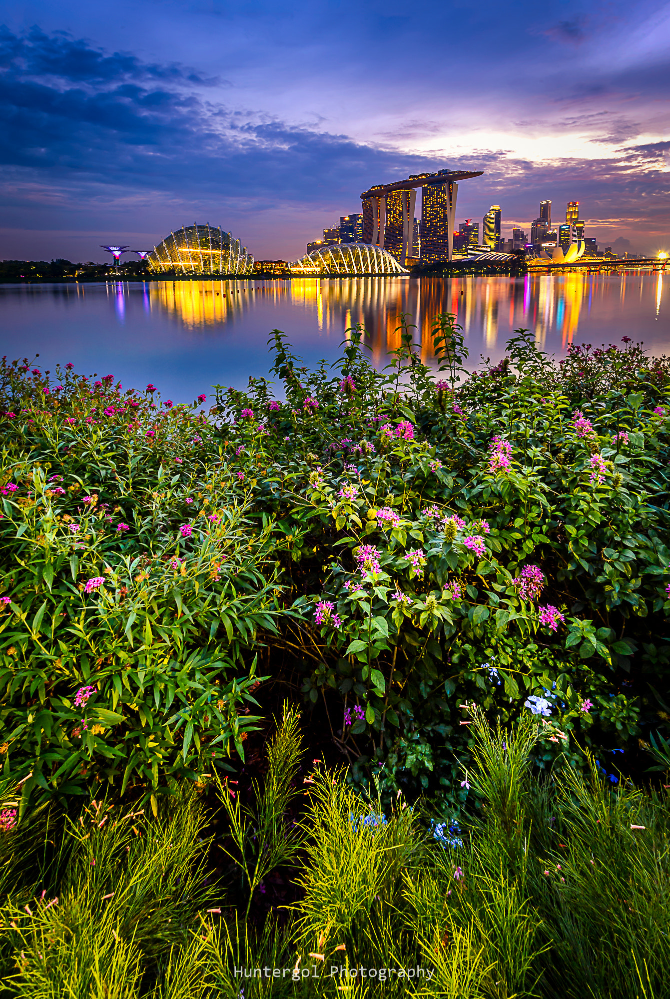 Nikon D610 + Nikon AF-S Nikkor 16-35mm F4G ED VR sample photo. Another side of garden by the bay photography