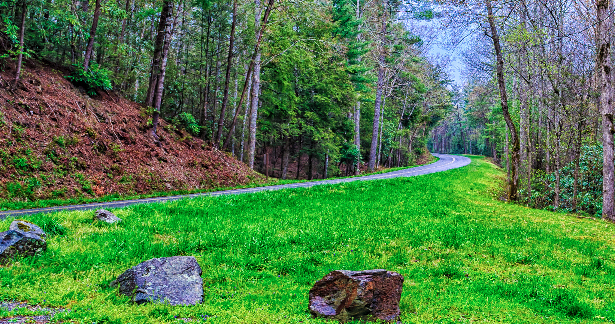 Nikon D90 sample photo. Smoky mountains photography