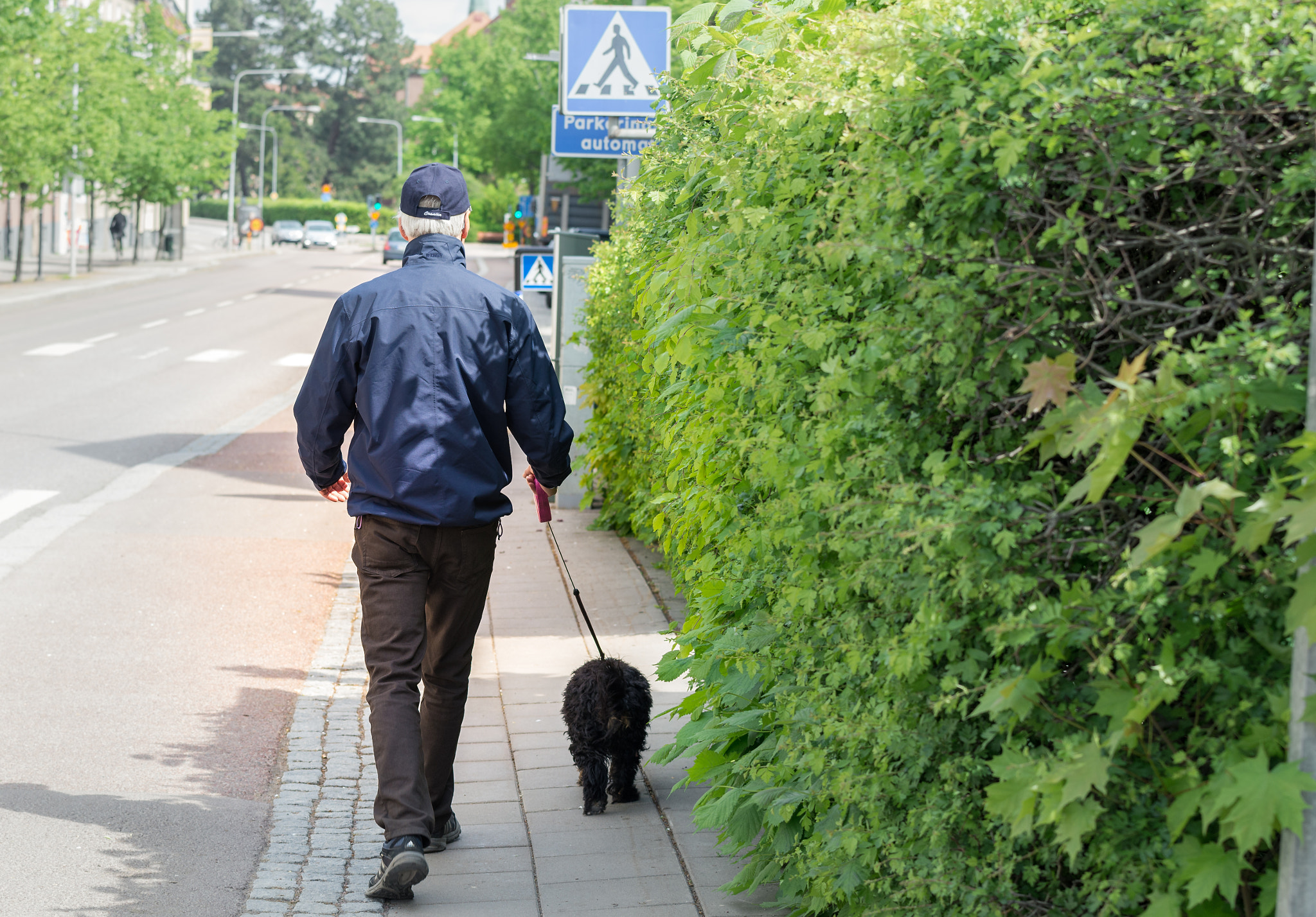 Nikon AF-S Nikkor 70-200mm F4G ED VR sample photo. A walk in the street. photography