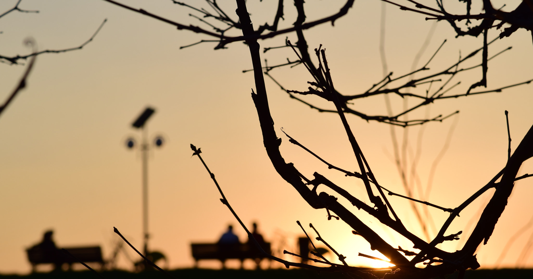 Nikon AF-S DX Micro-Nikkor 85mm F3.5G ED VR sample photo. Silhouettes photography