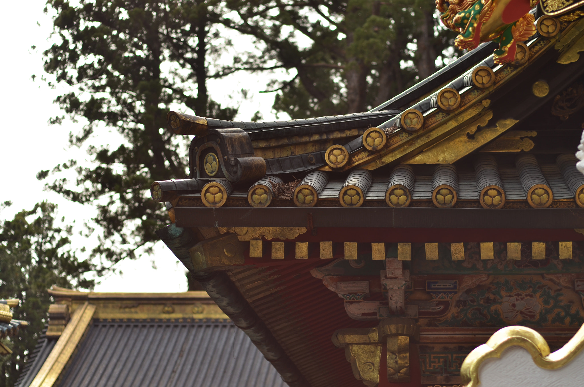 Nikon AF Nikkor 50mm F1.8D sample photo