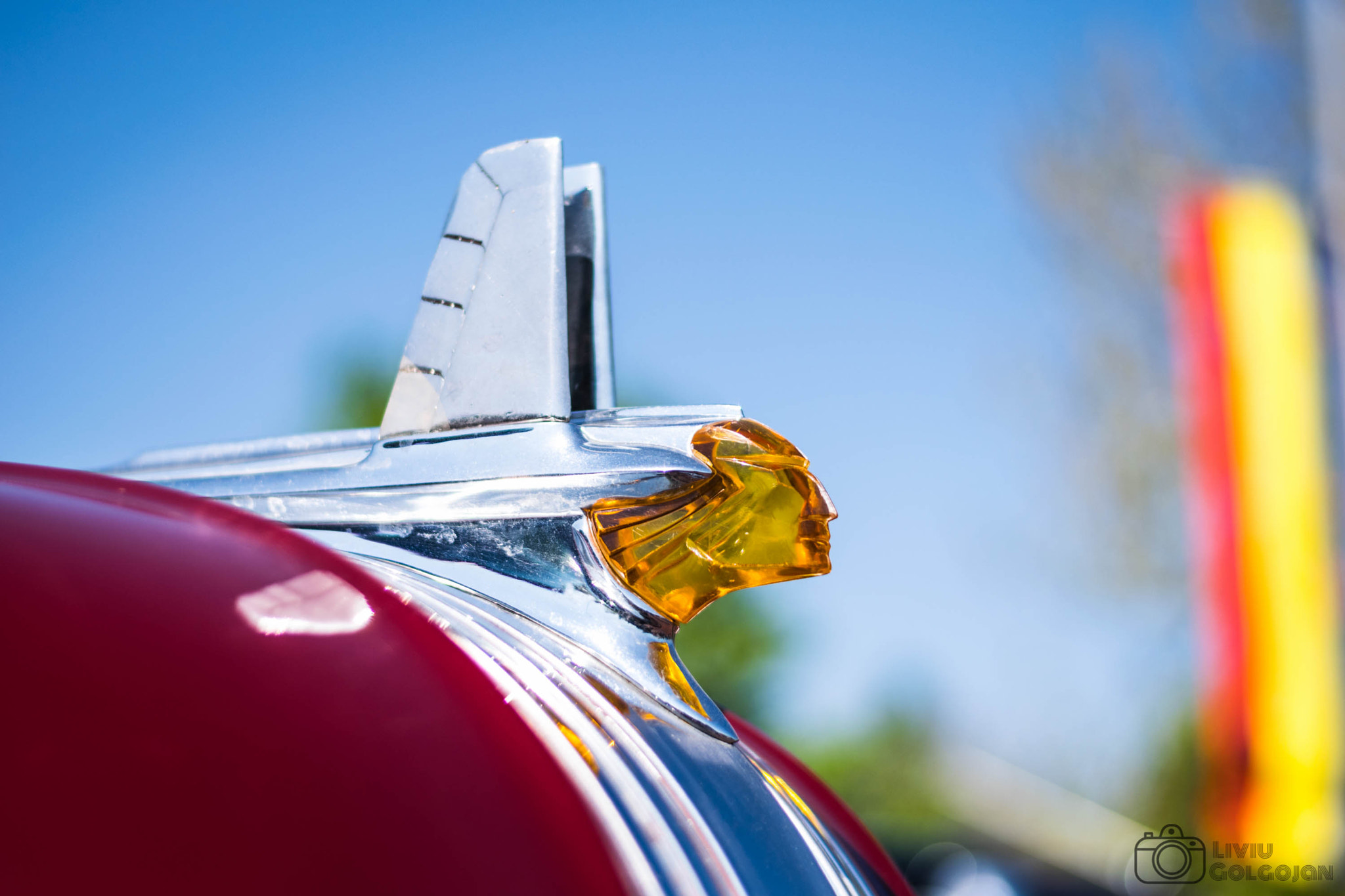 Nikon AF-S Nikkor 50mm F1.8G sample photo. One year later photography