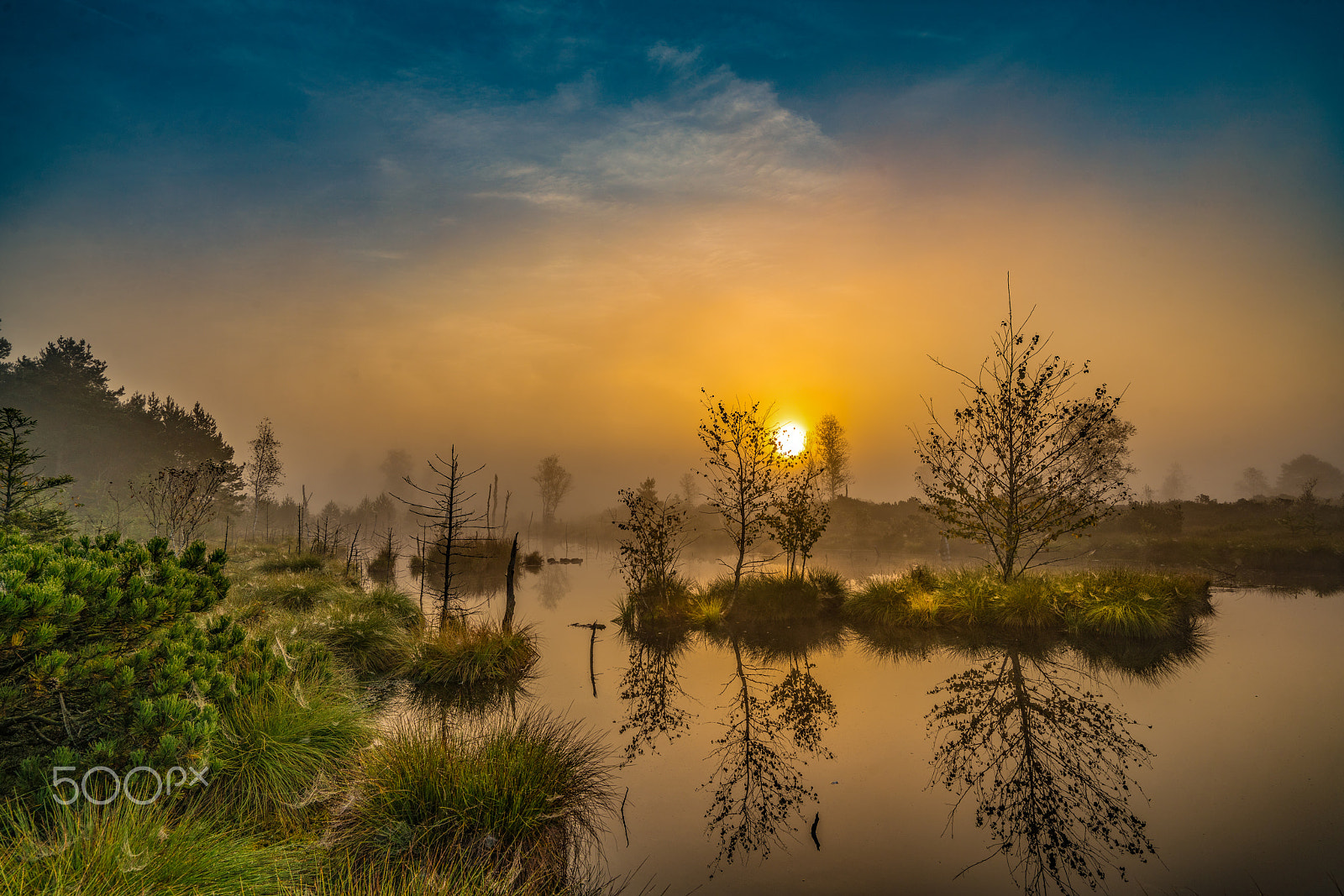 Sony a7R II + Sony Vario-Tessar T* FE 16-35mm F4 ZA OSS sample photo. Wenger moor photography