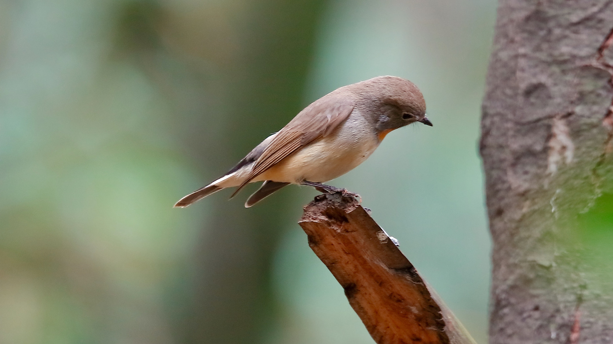 Canon EOS 5DS sample photo
