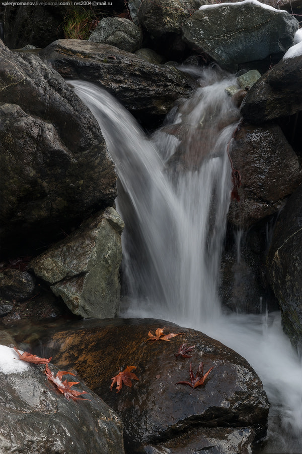 Sony Alpha a99 sample photo. Road to caledonia photography