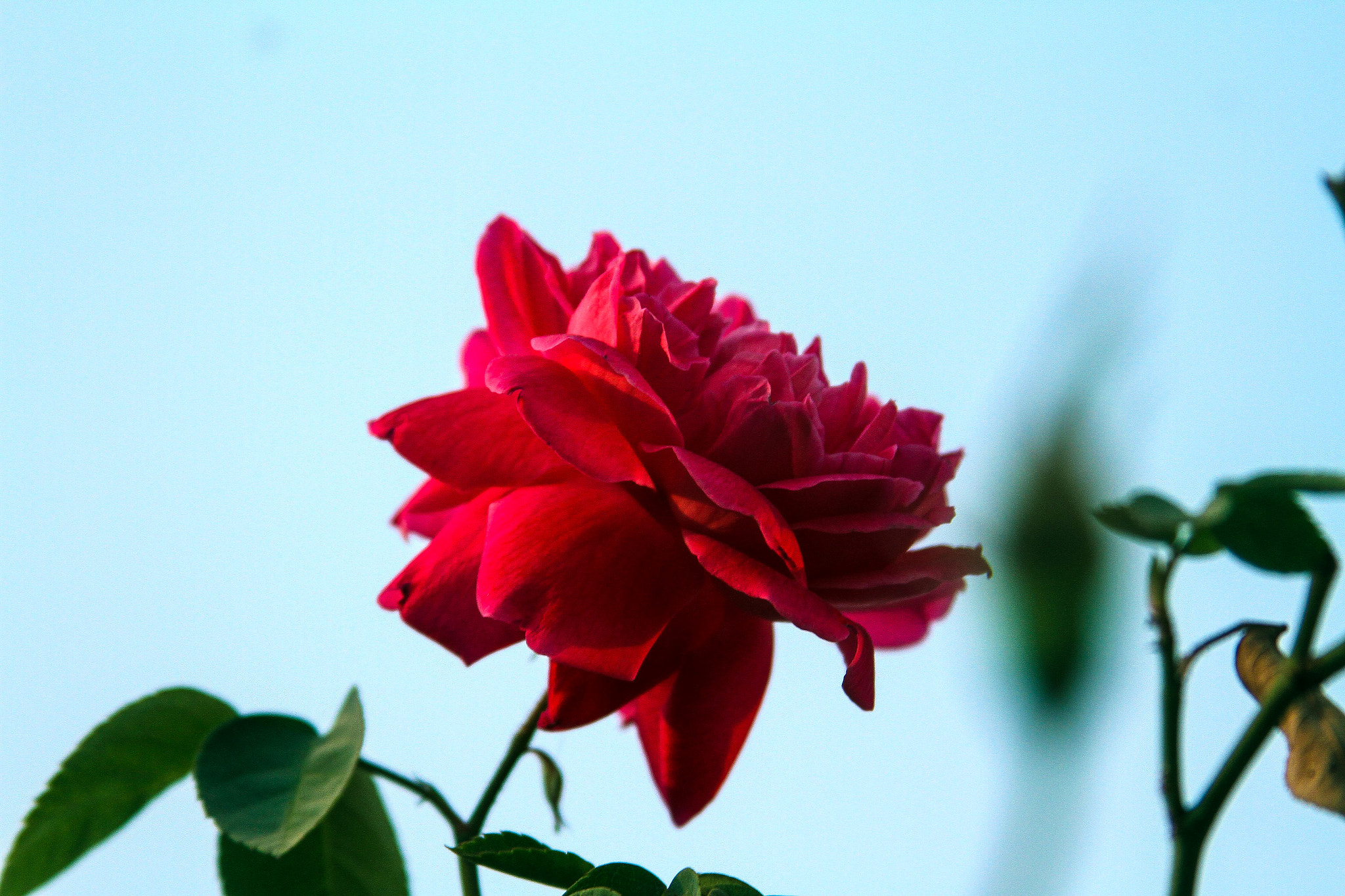 Canon EF 28-135mm F3.5-5.6 IS USM sample photo