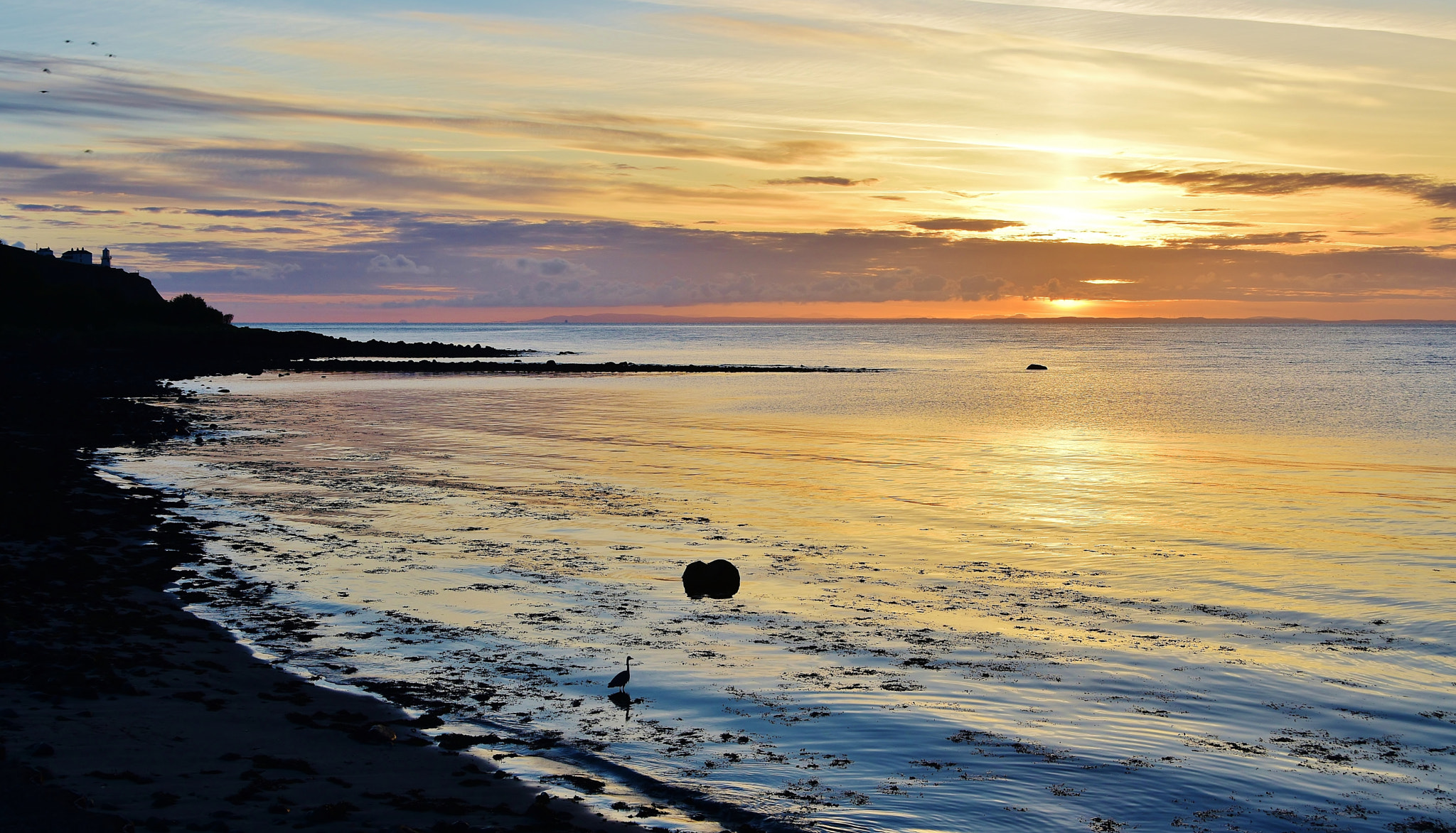 Nikon D5500 sample photo. Sunrise with heron photography