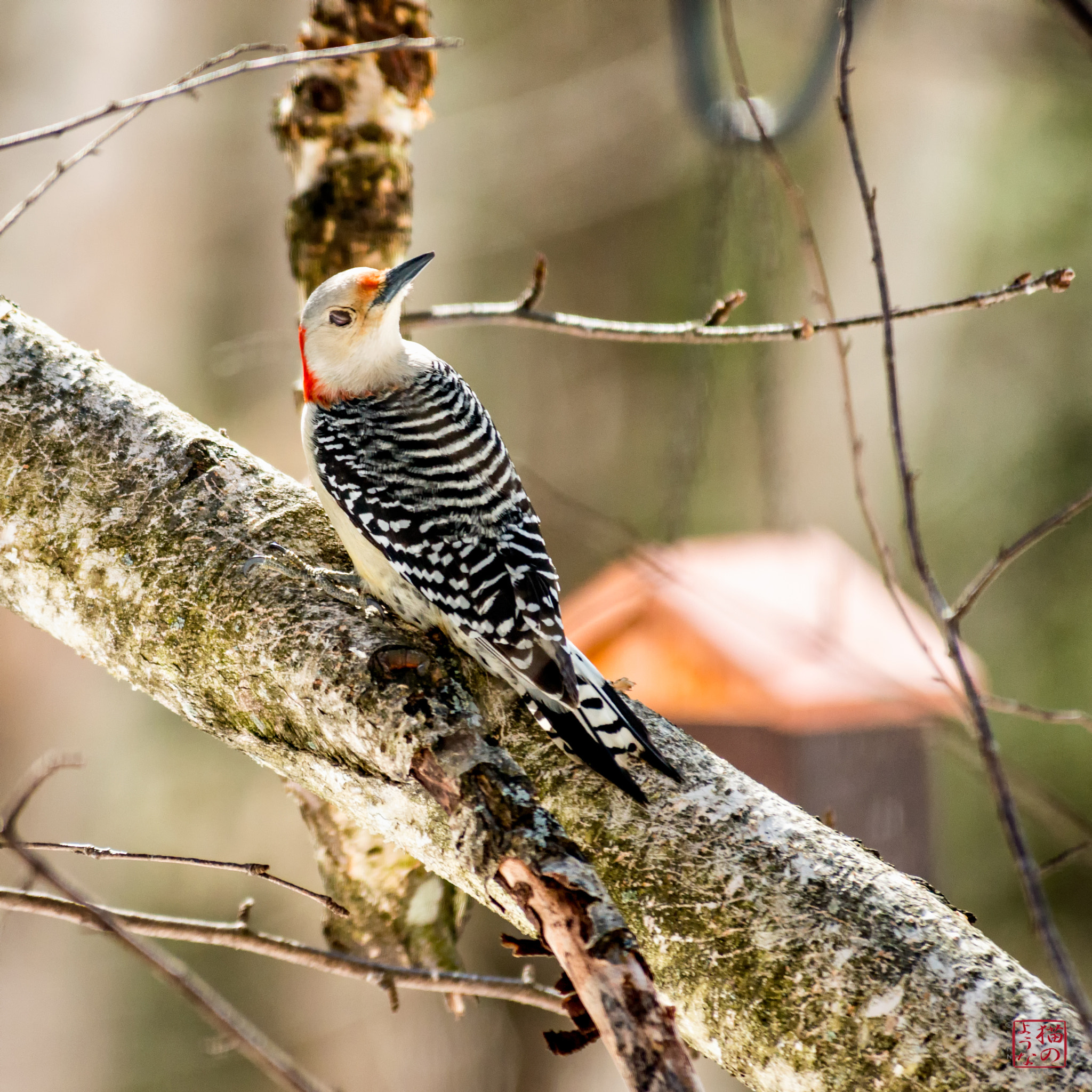 Nikon D800 sample photo. Check your six photography