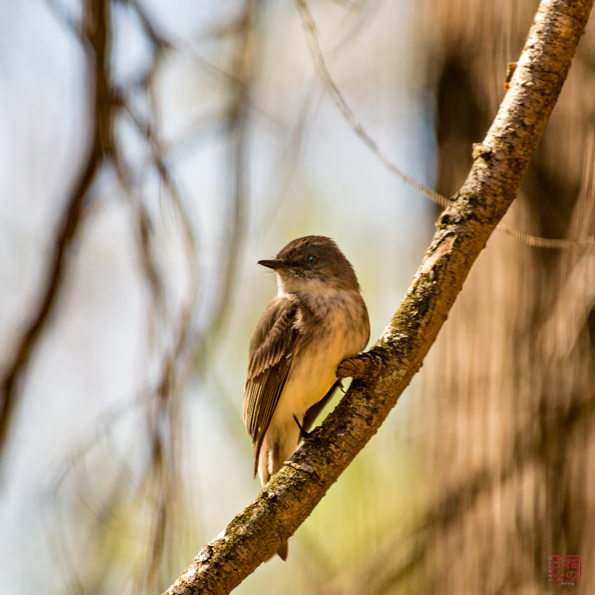 Nikon D800 sample photo. Always a mystery photography