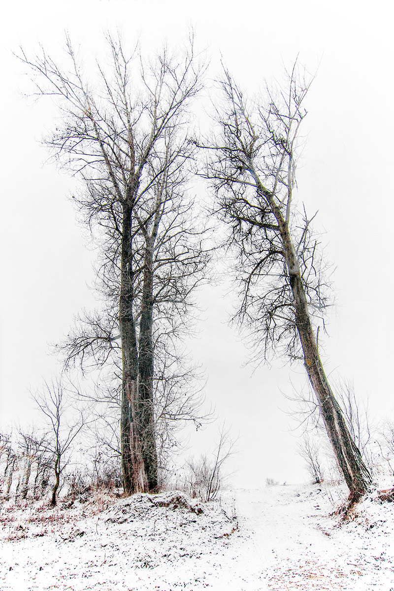 Tokina AT-X Pro 12-24mm F4 (IF) DX sample photo. If i was not alone ..... photography