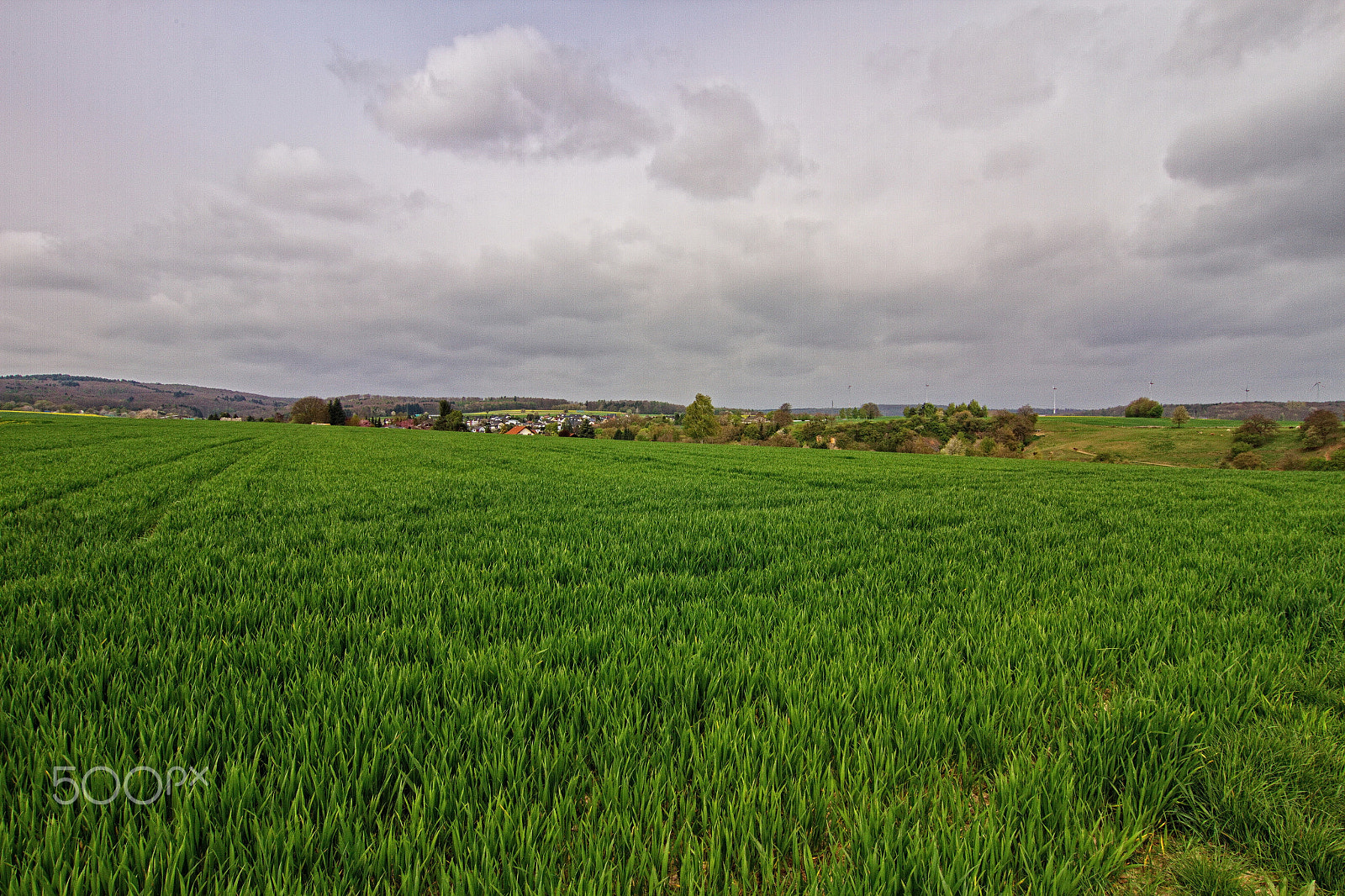 Tokina AT-X Pro 12-24mm F4 (IF) DX sample photo. Fields photography