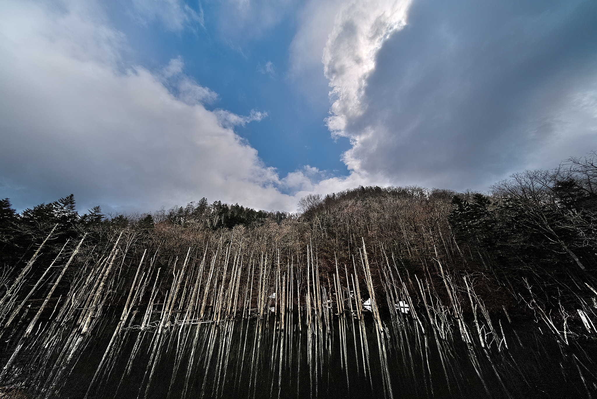 E 10mm F5.6 sample photo. Stripe photography