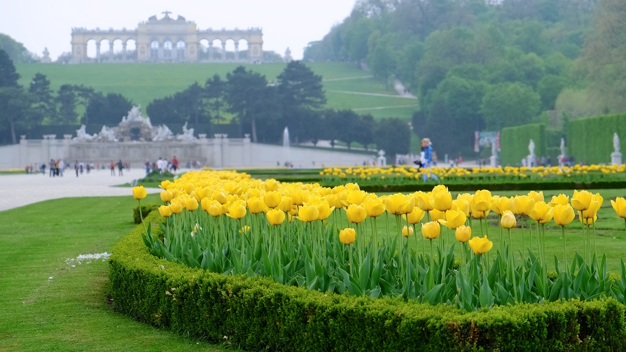 Fujifilm X-Pro1 + Fujifilm XF 18-55mm F2.8-4 R LM OIS sample photo. Schoenbrunn plance photography