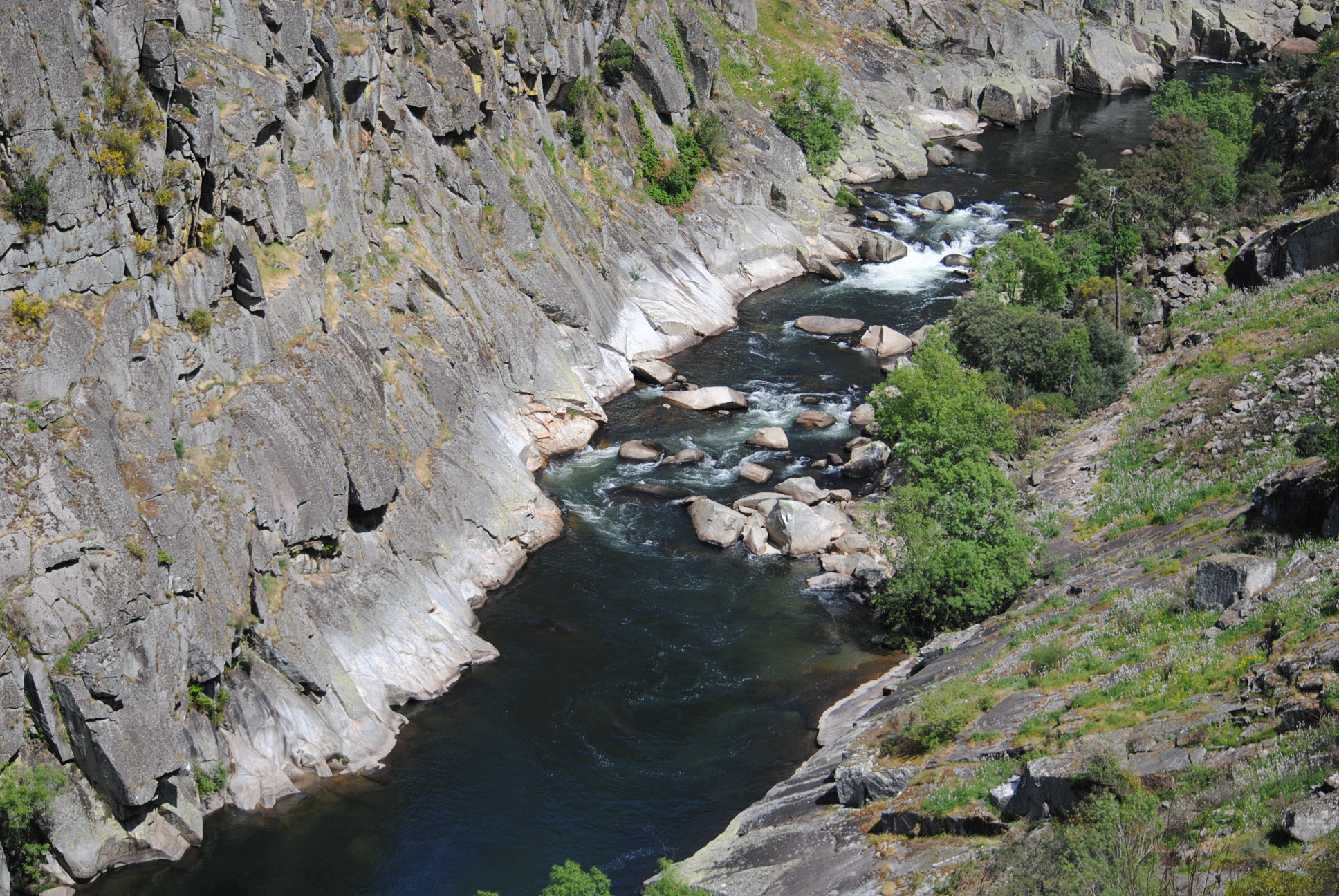 Nikon D3000 sample photo. Rio paiva photography